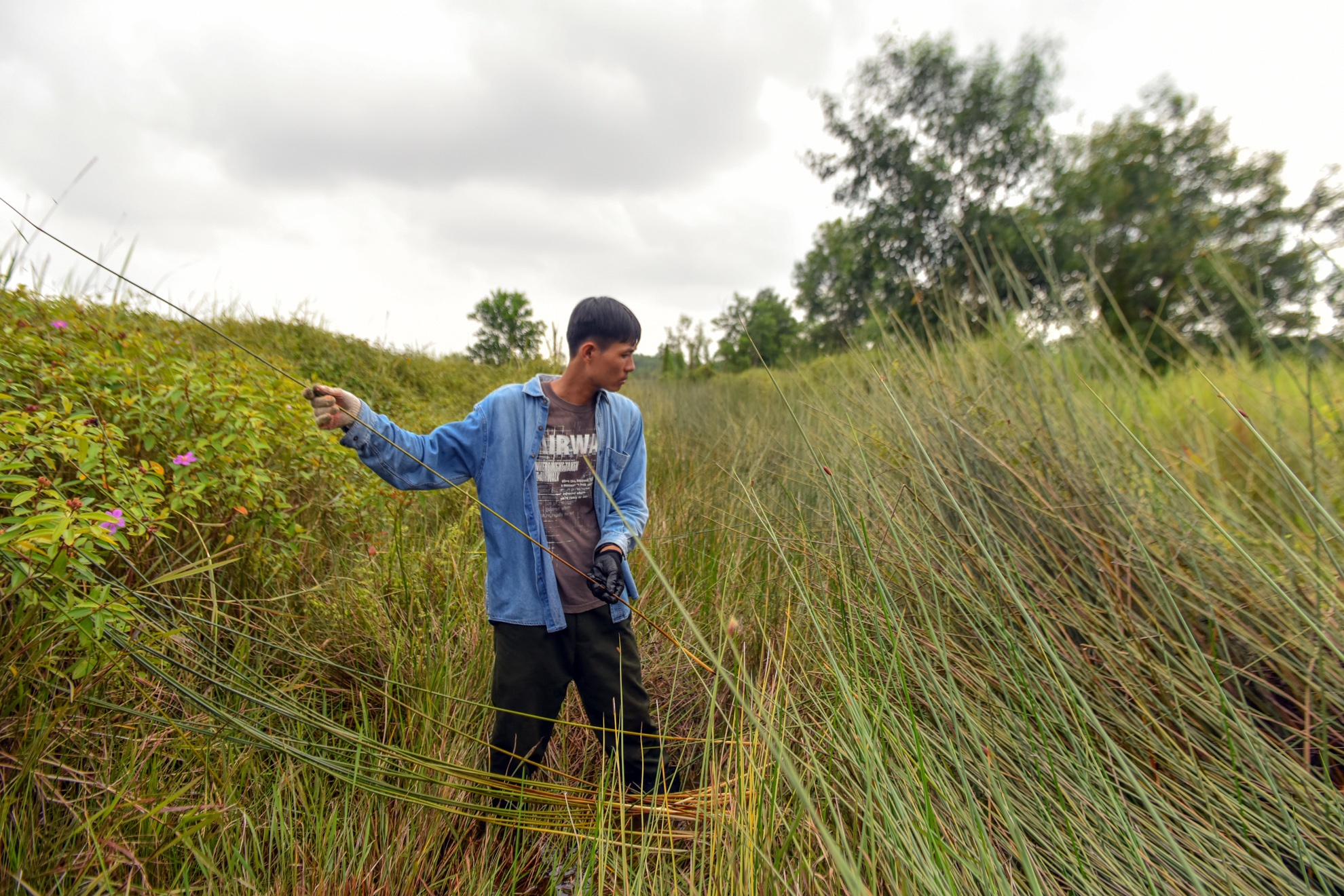 chang trai san xuat ong hut tu thien nhien anh 20