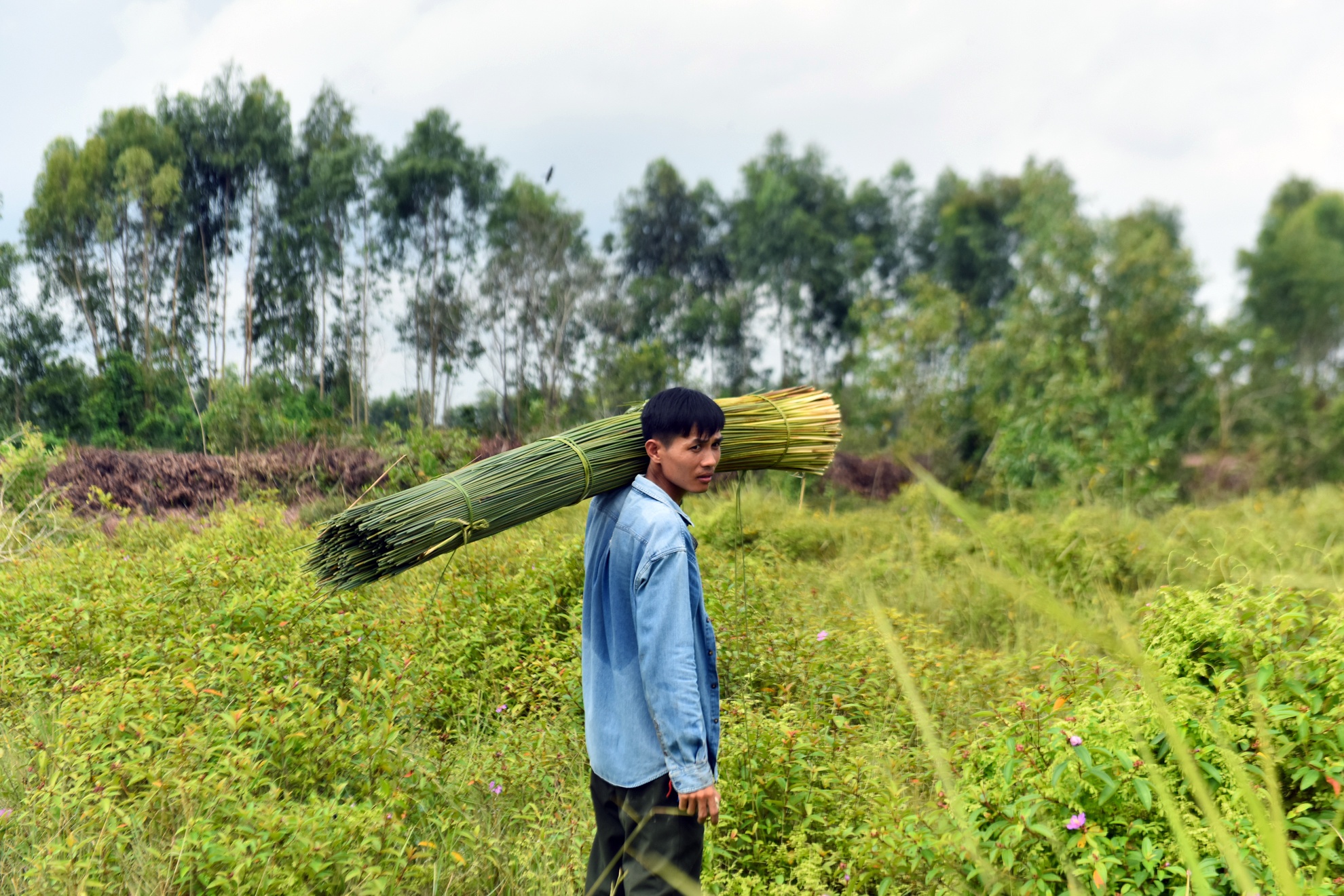 chang trai san xuat ong hut tu thien nhien anh 1