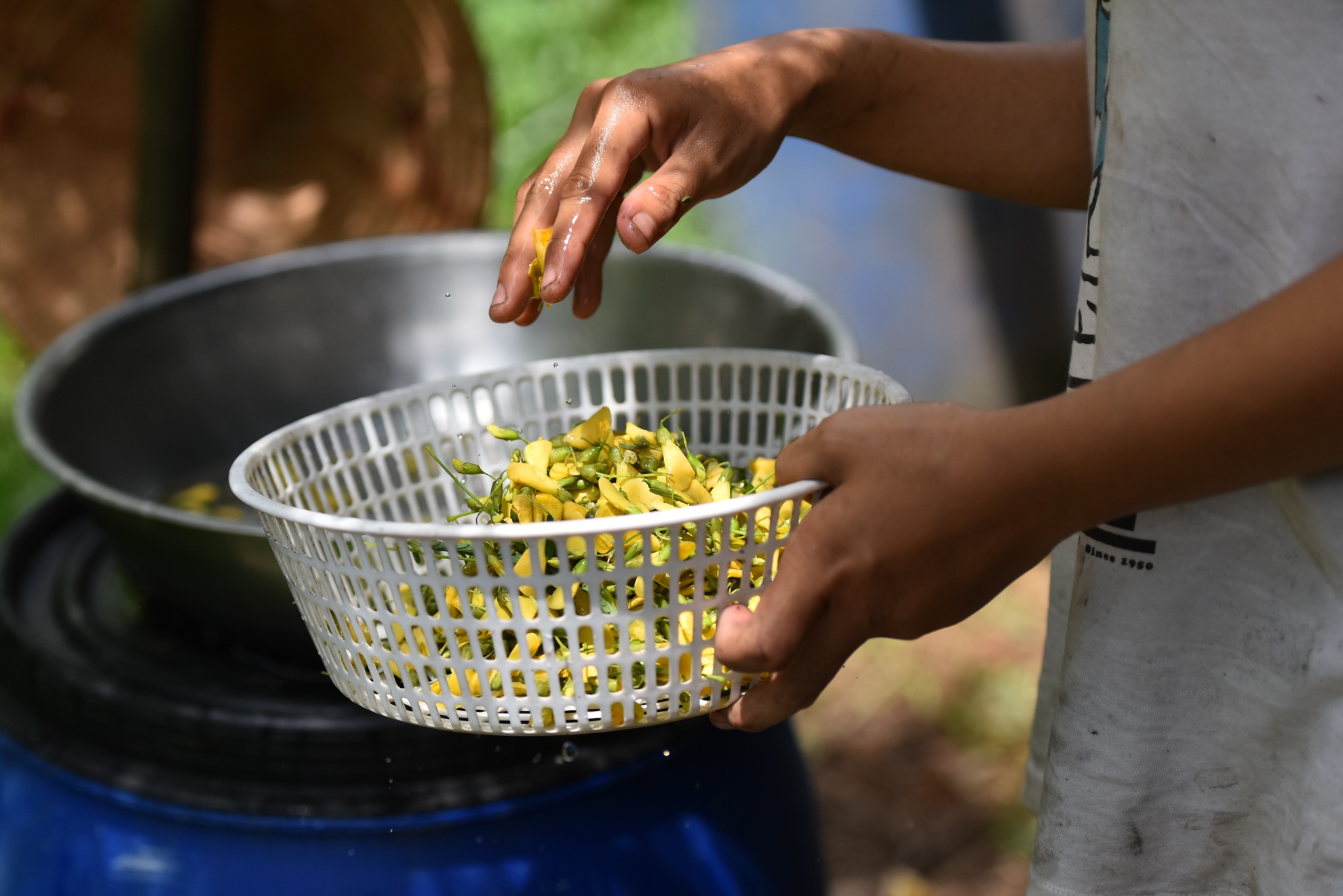 chang trai san xuat ong hut tu thien nhien anh 10