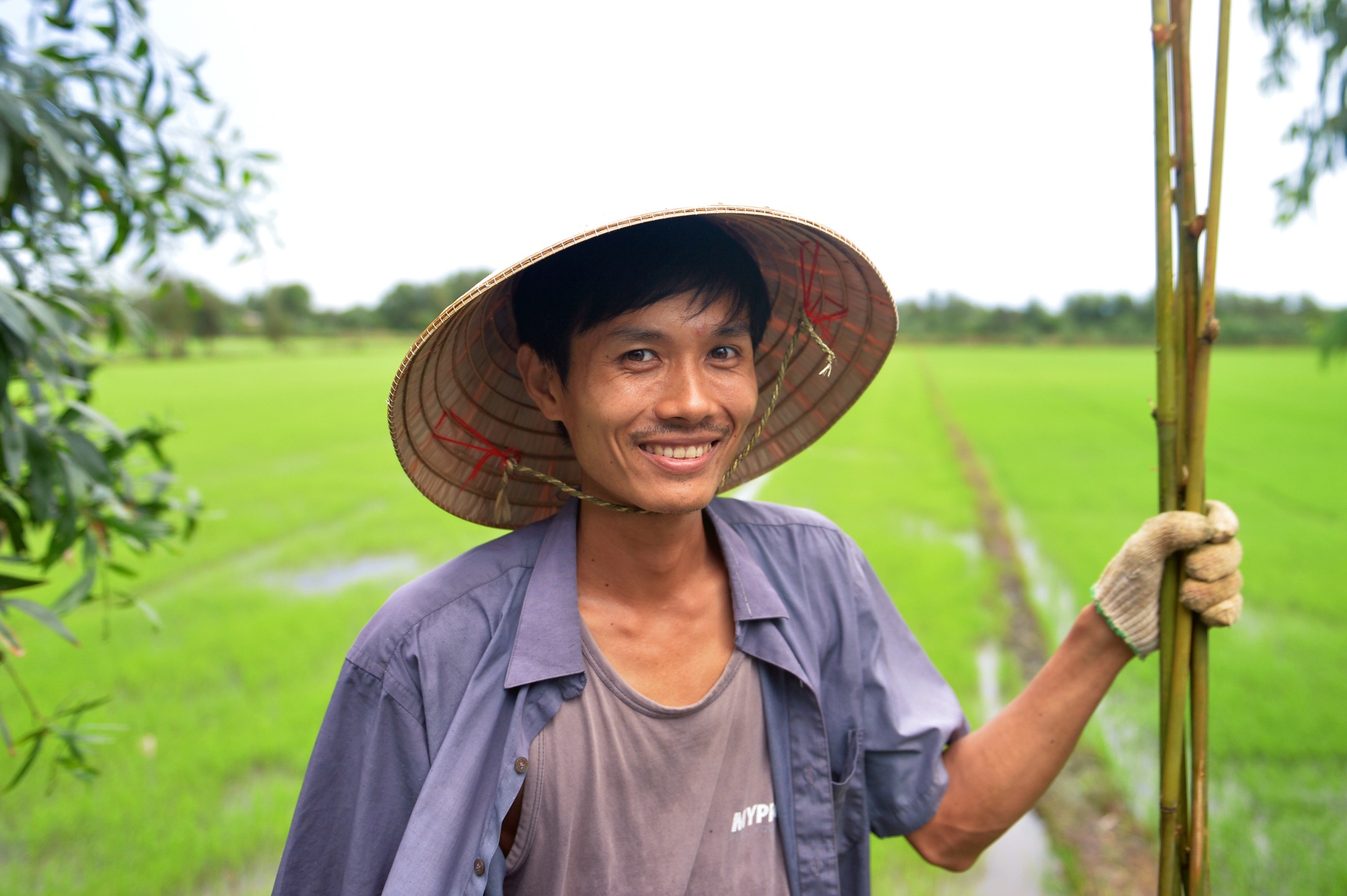 Chang nong dan 'khung' va giac mo ong hut tre hinh anh