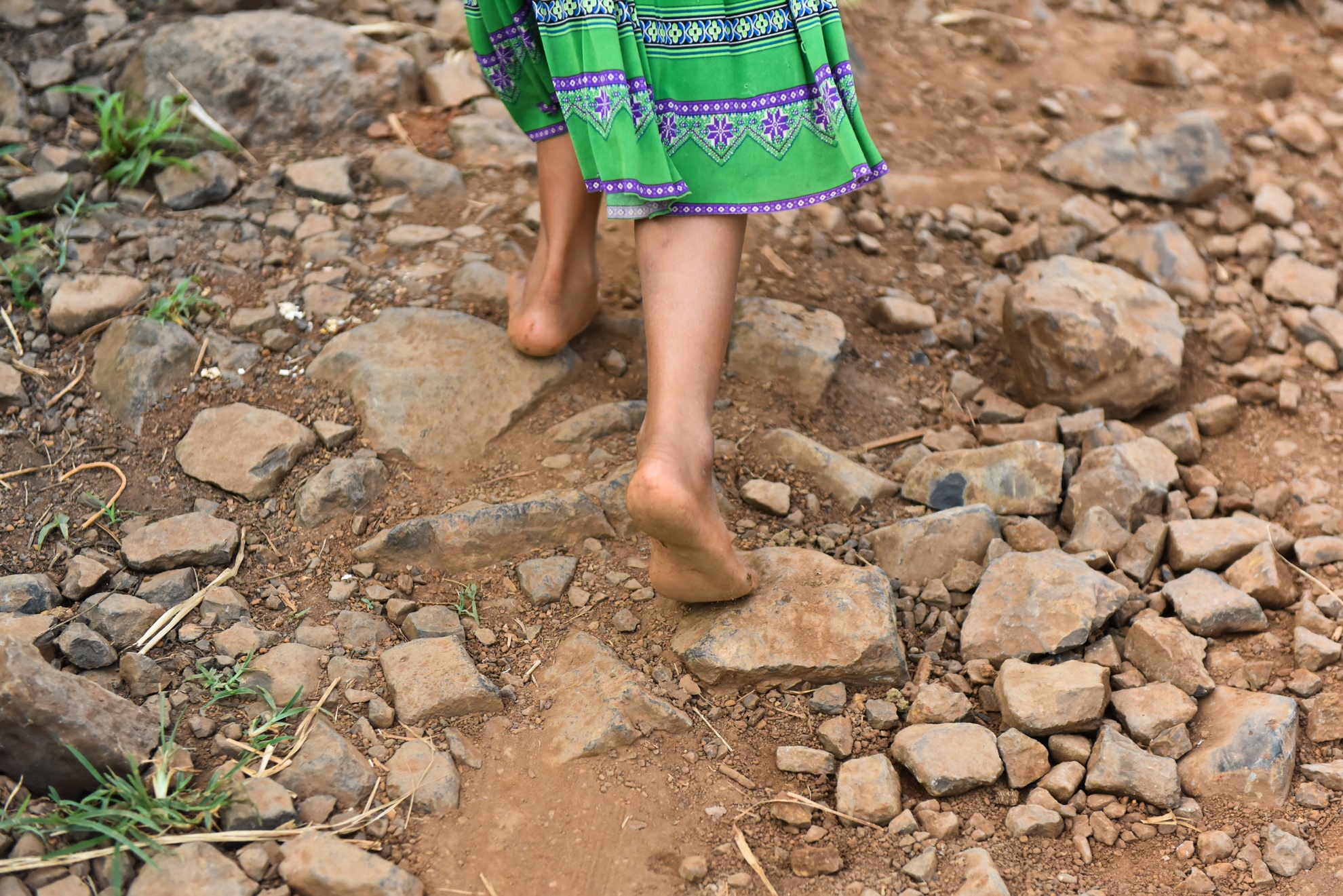 Con duong di hoc anh 8