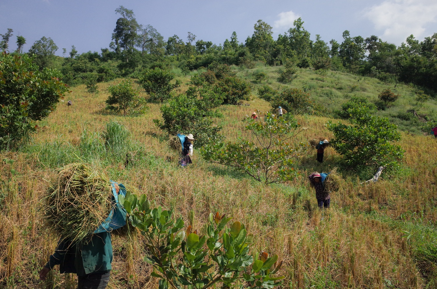 Con duong di hoc anh 16