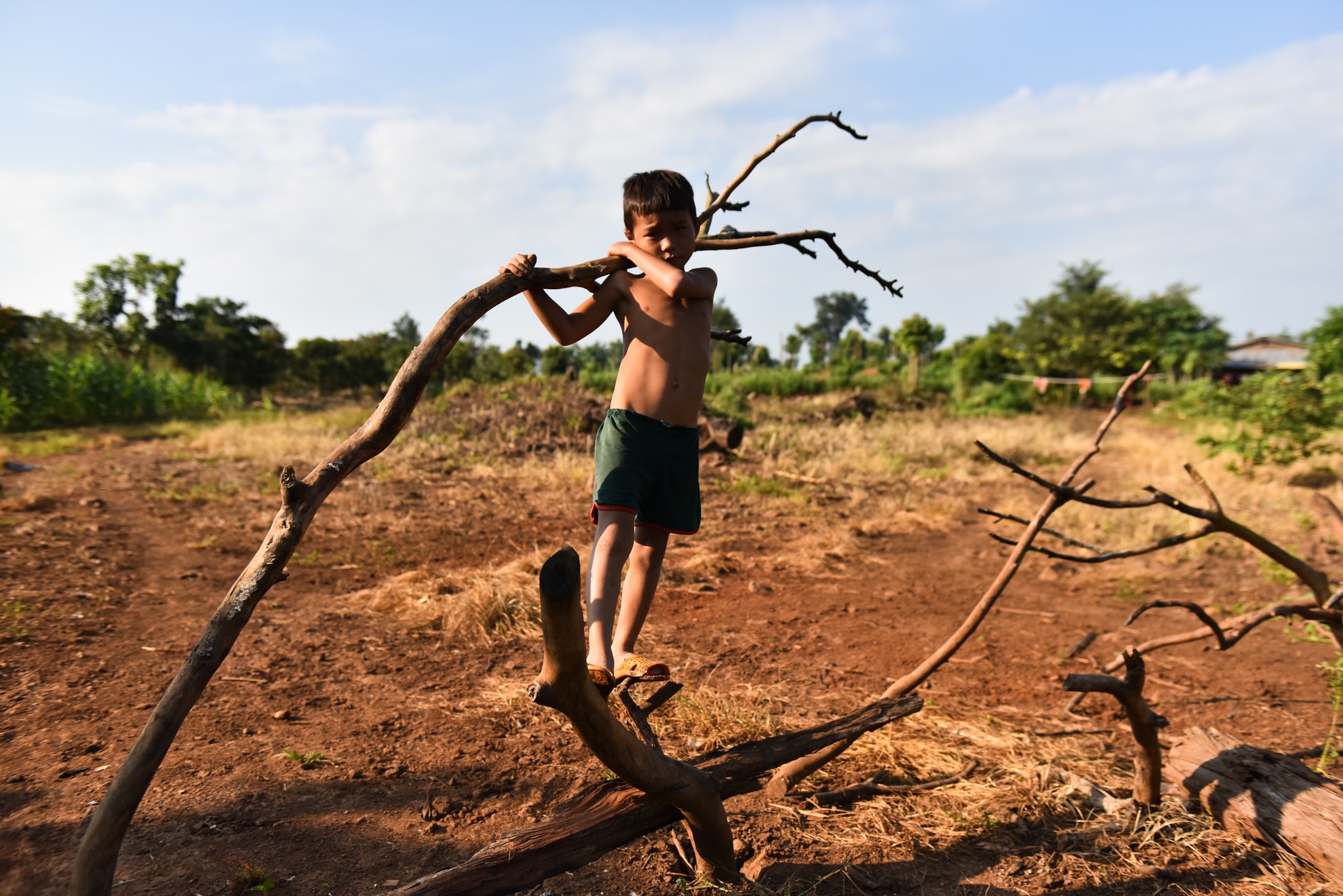 Con duong di hoc anh 20