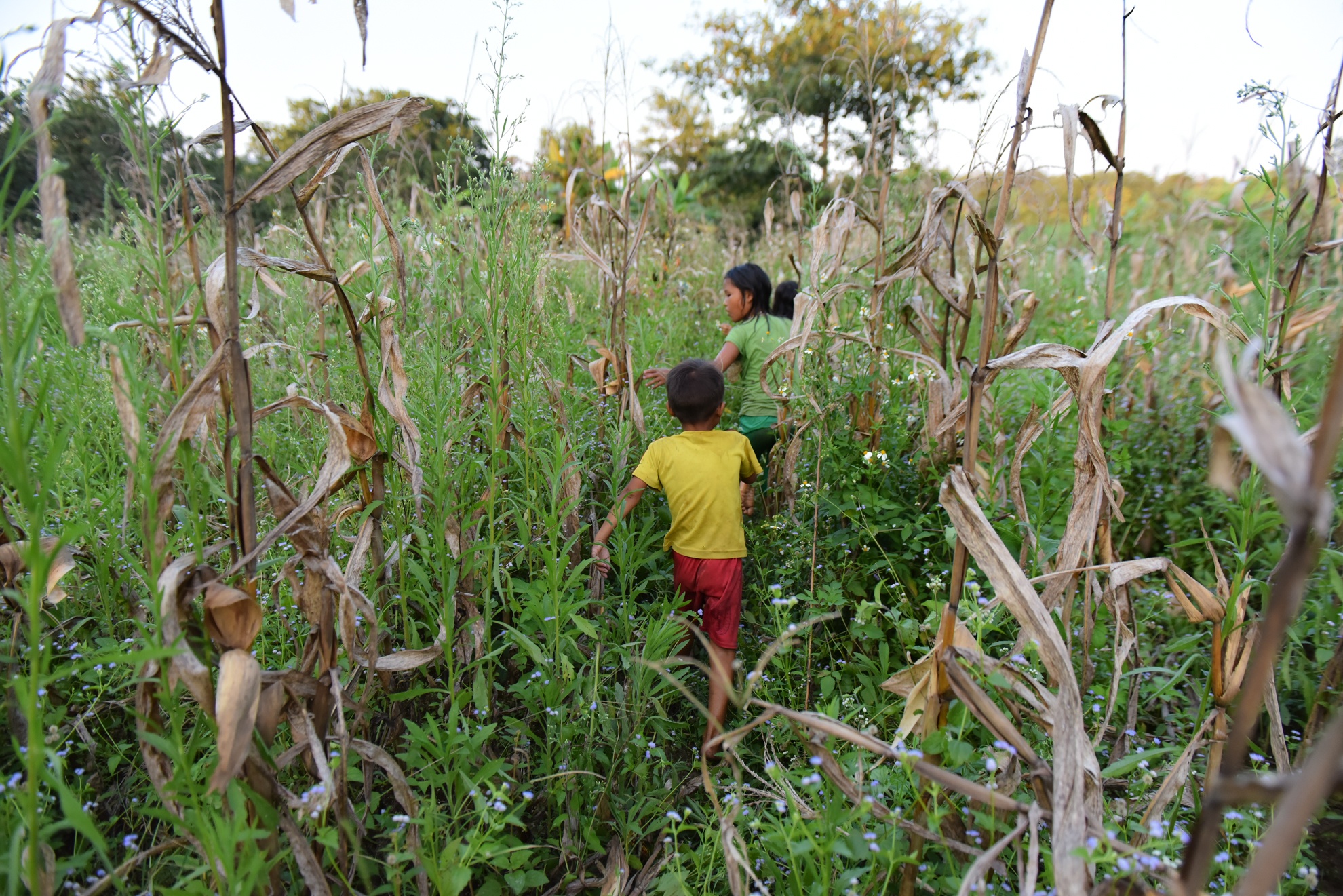 Con duong di hoc anh 19