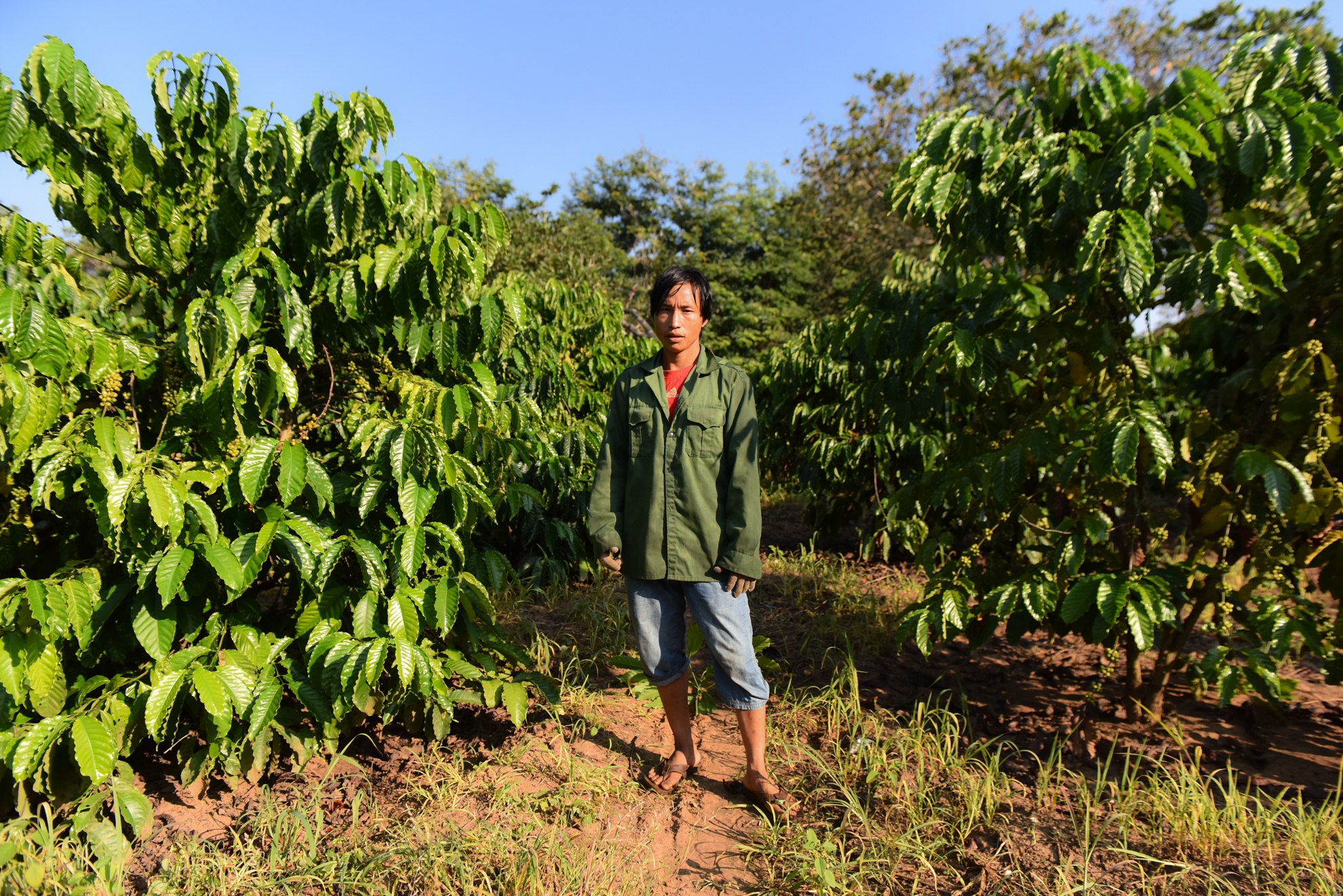 Con duong di hoc anh 15