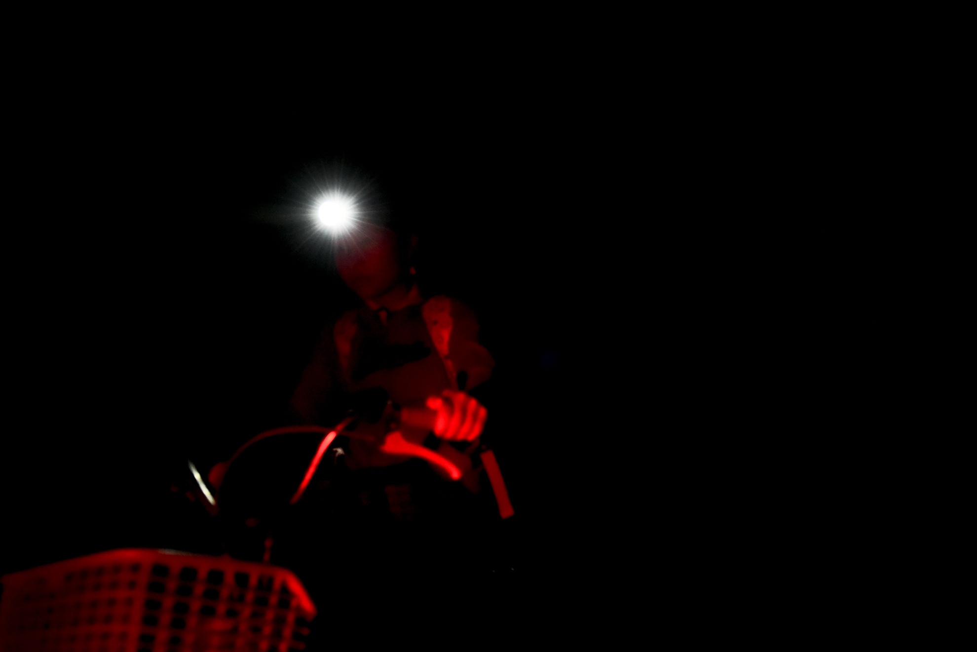 Con duong di hoc anh 4