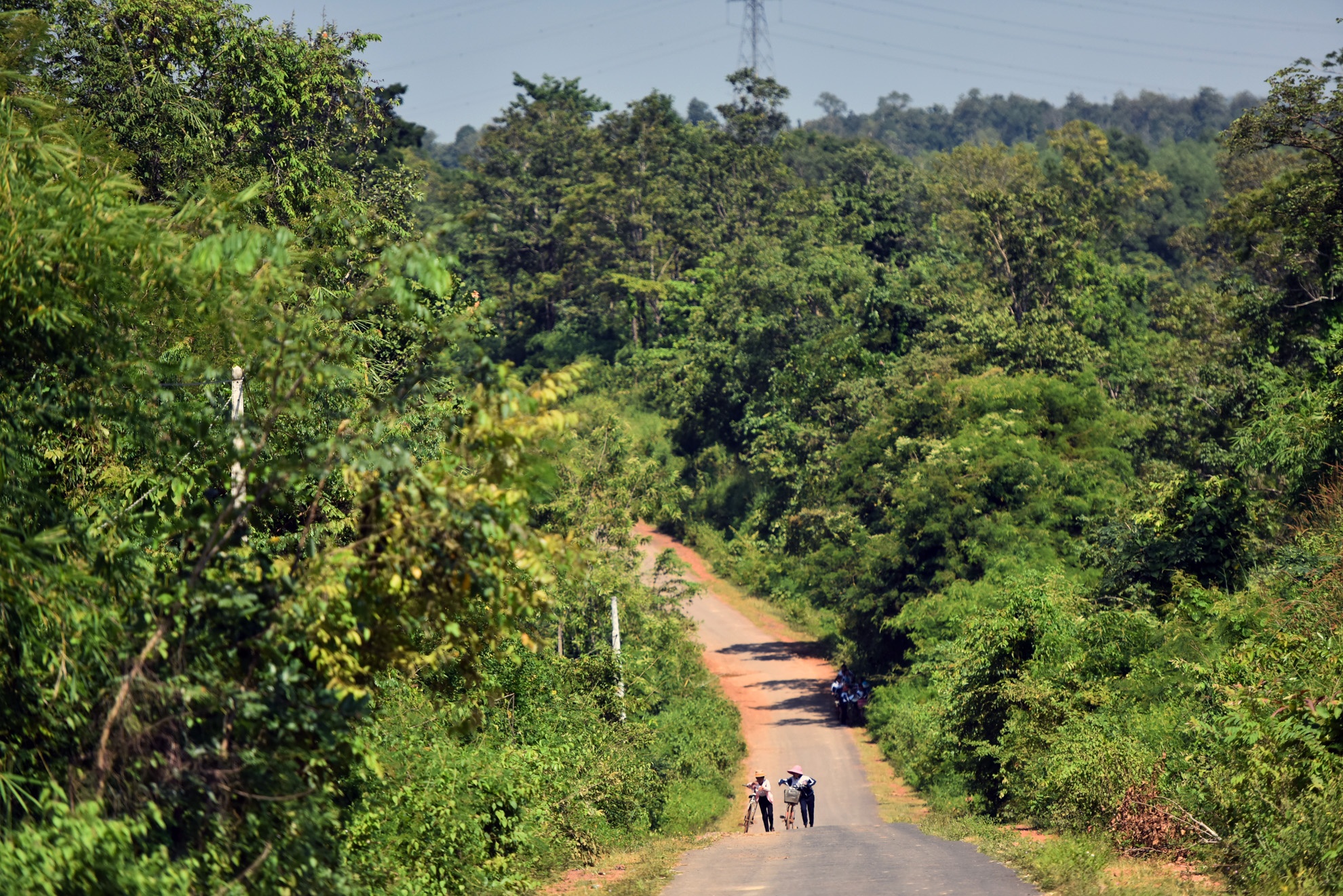 Con duong di hoc anh 14