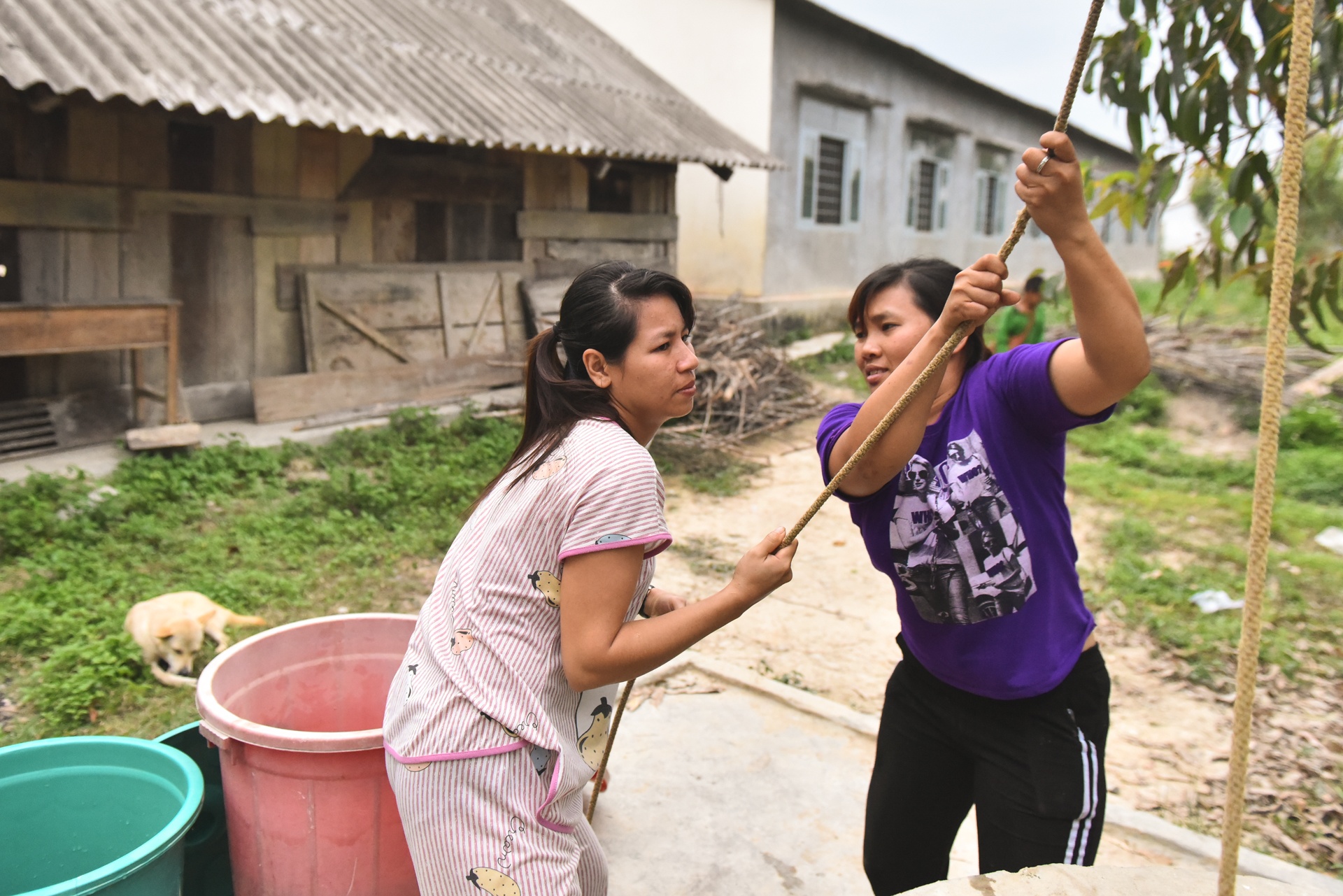 Gieo chu tren dinh nui anh 19