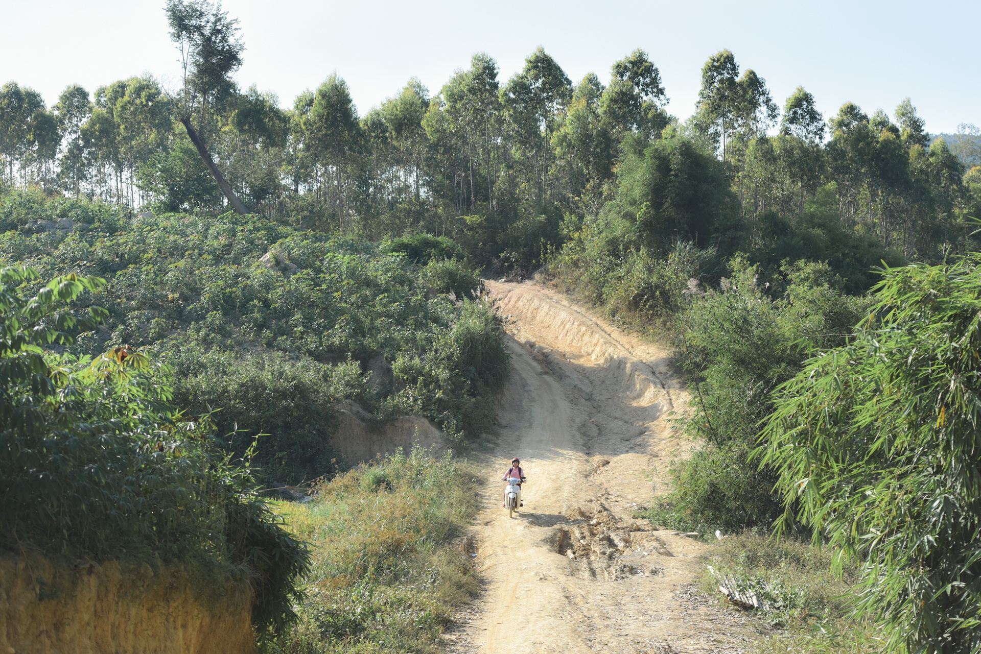 Gieo chu tren dinh nui anh 4