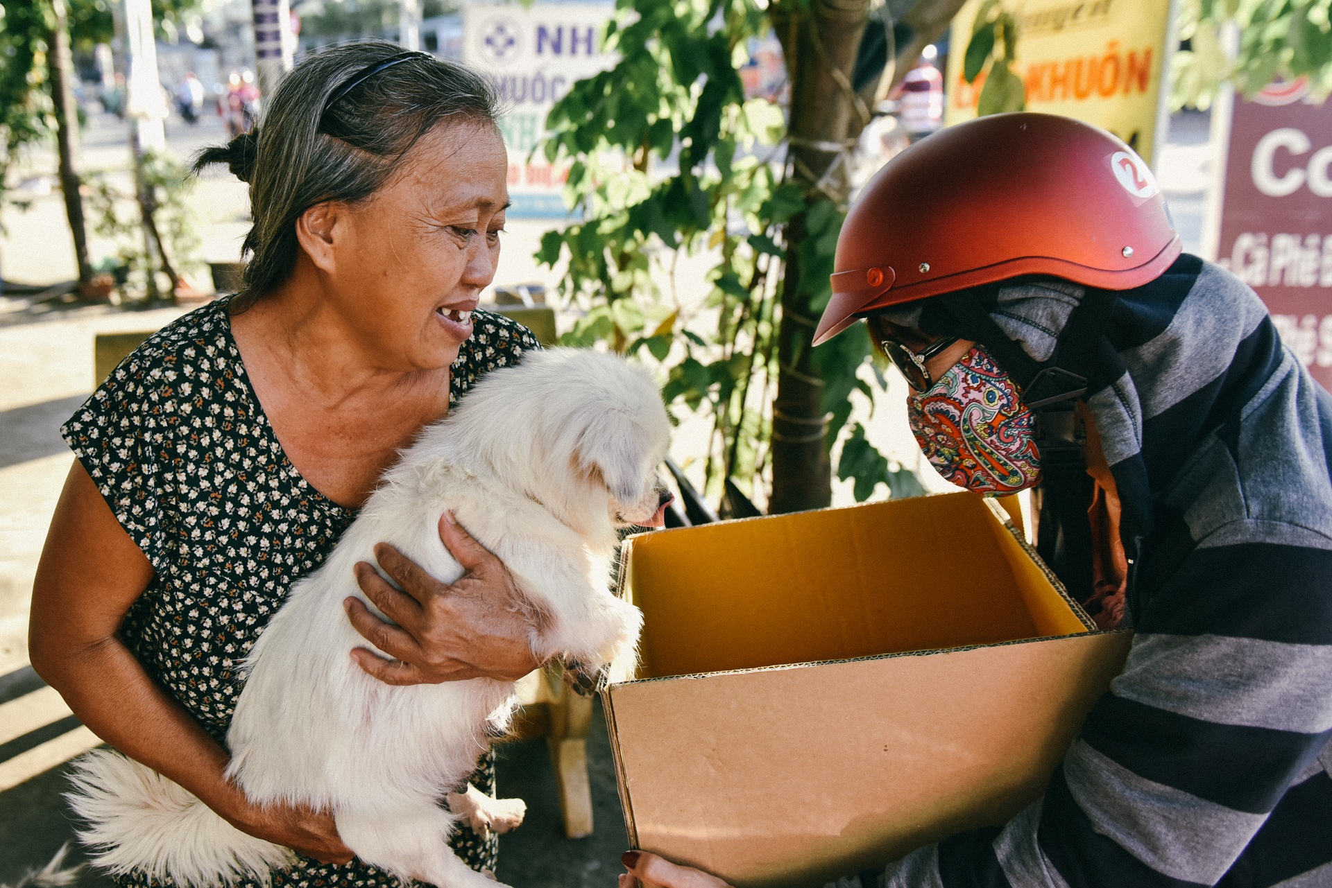 lop hoc tinh thuong anh 11