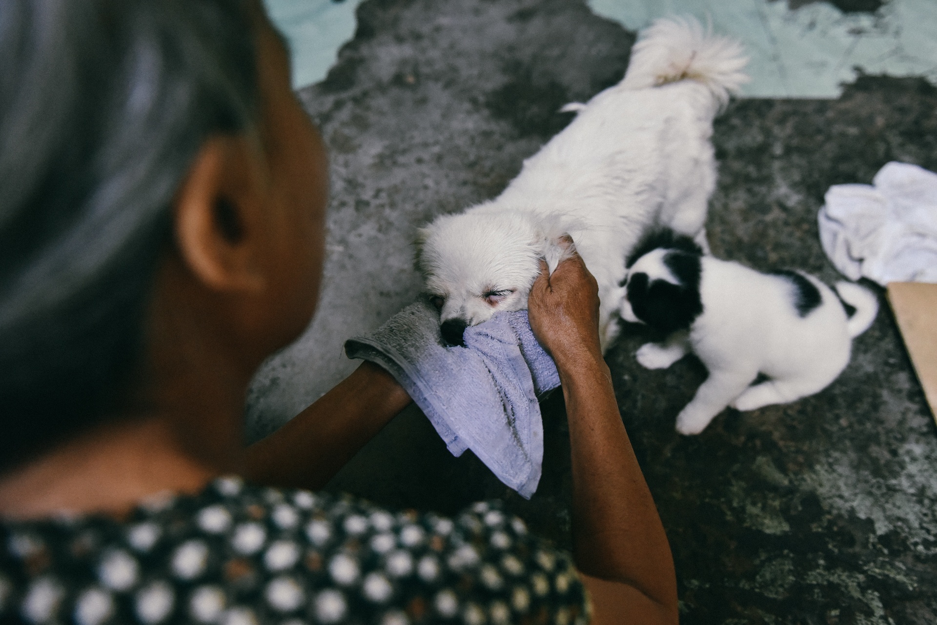 lop hoc tinh thuong anh 9