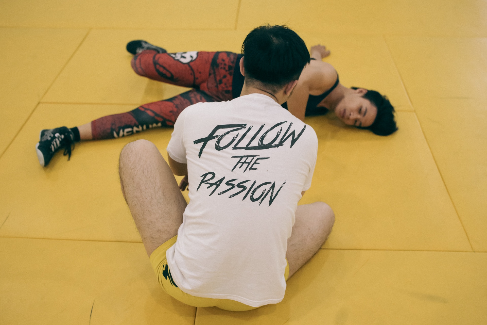 Đấu vật biểu diễn ảnh 4 Dau vat bieu dien anh 4