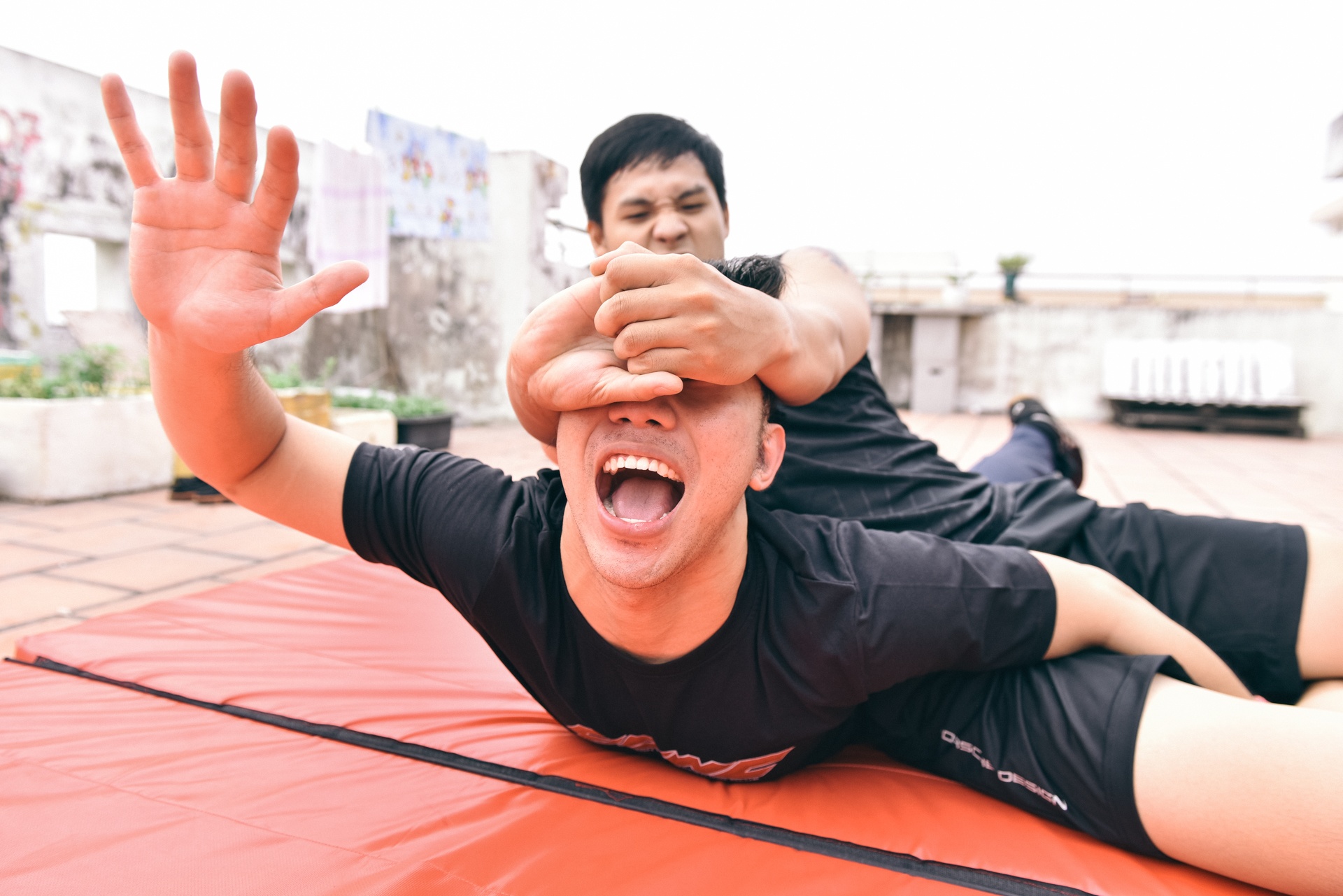 Đấu vật biểu diễn ảnh 16 Dau vat bieu dien anh 16