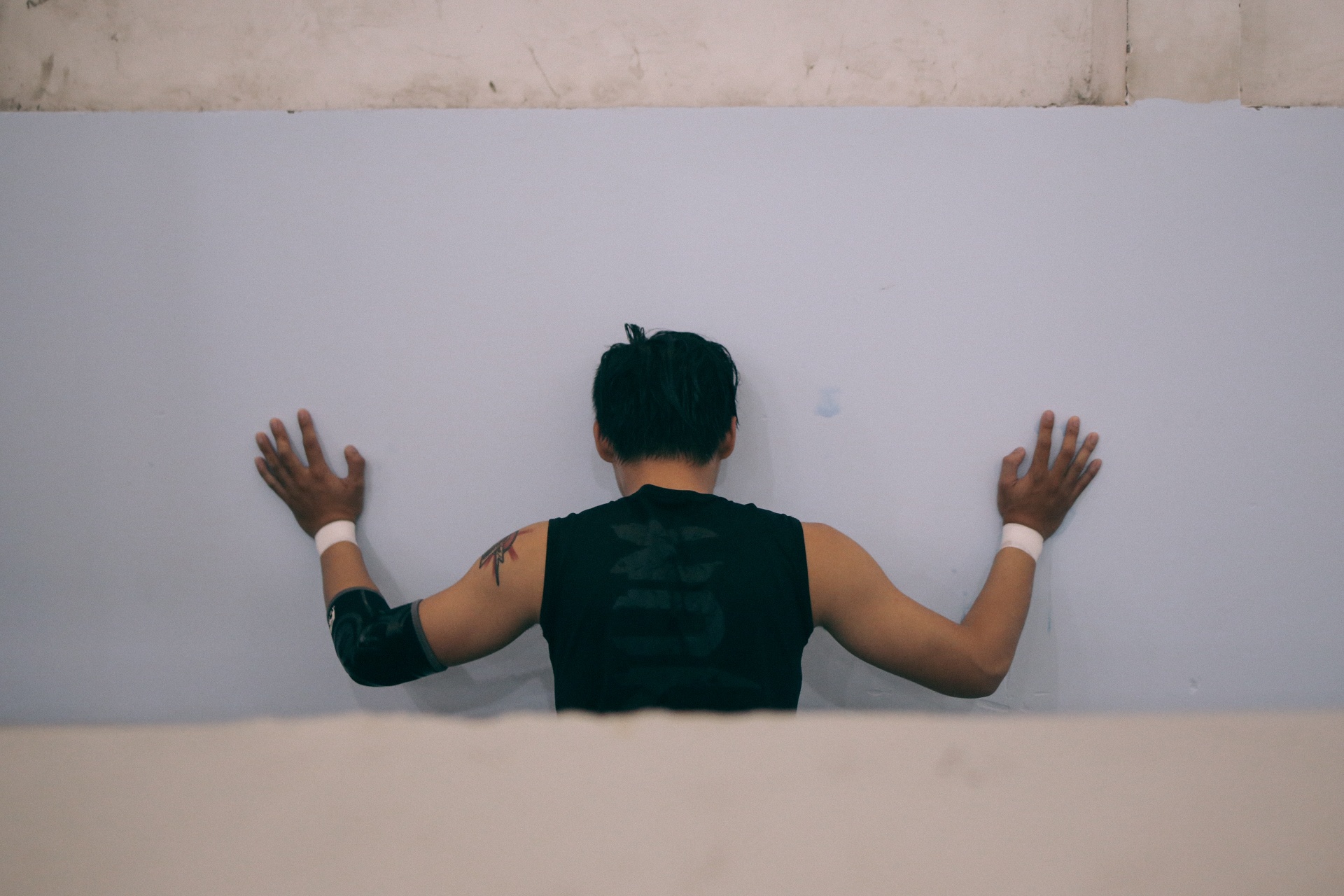 Đấu vật biểu diễn ảnh 13 Dau vat bieu dien anh 13