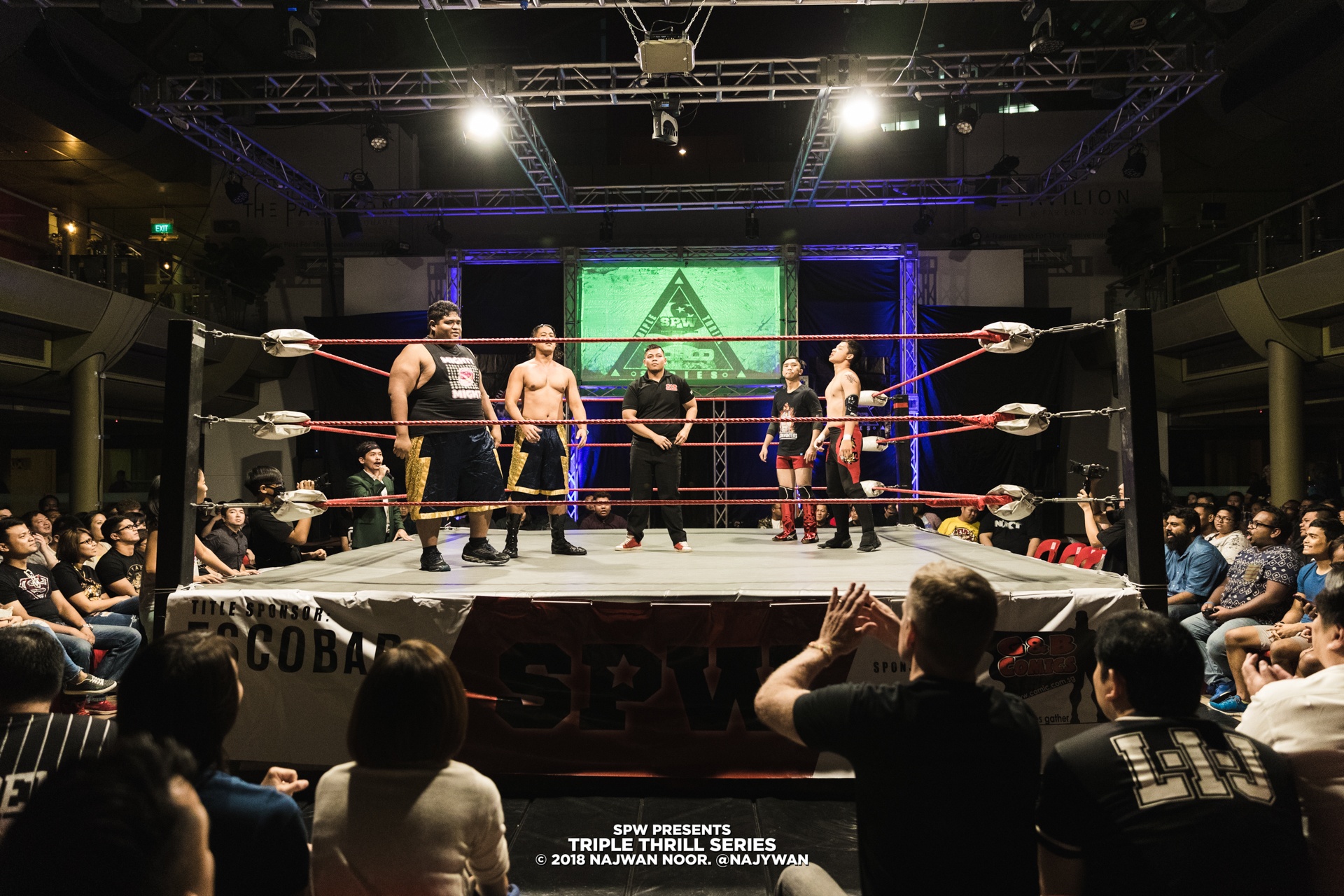 Đấu vật biểu diễn ảnh 14 Dau vat bieu dien anh 14