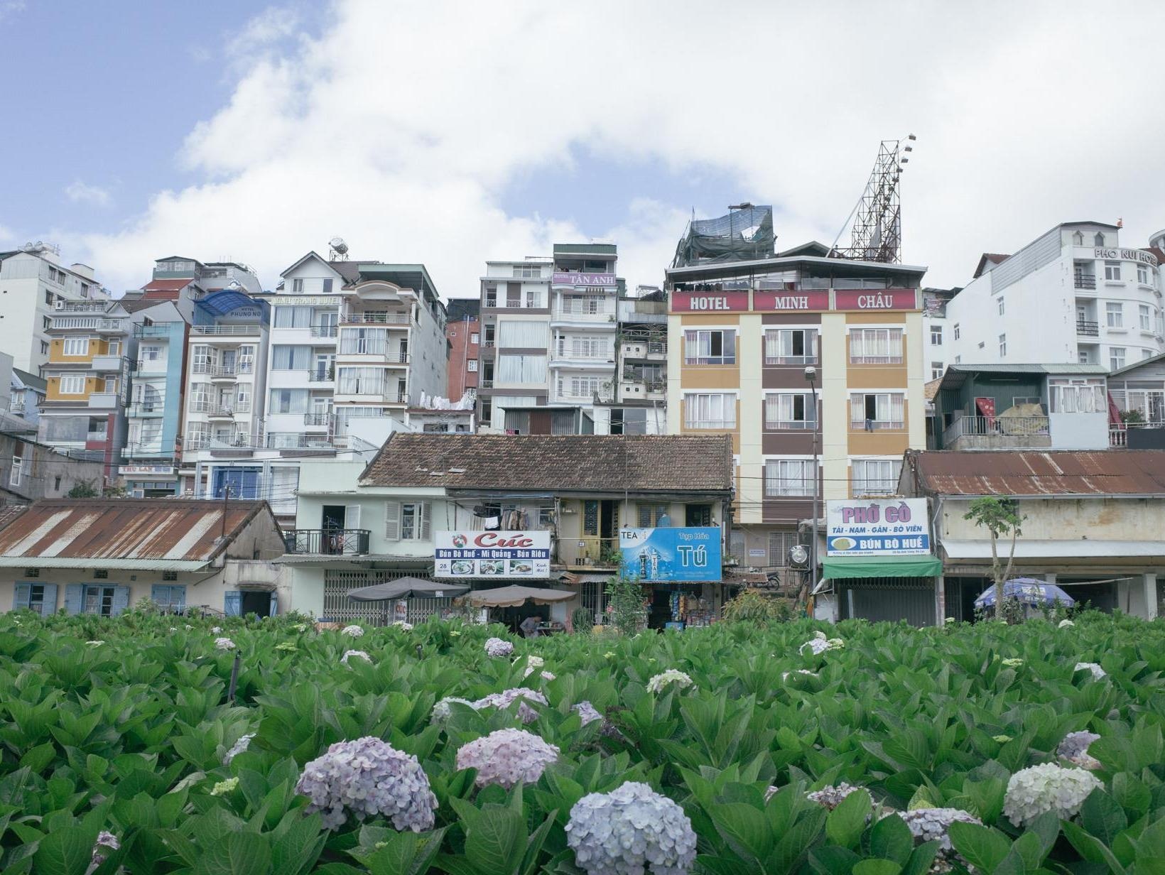 Da Lat xo lech va nhung noi buon cua thanh pho suong hinh anh