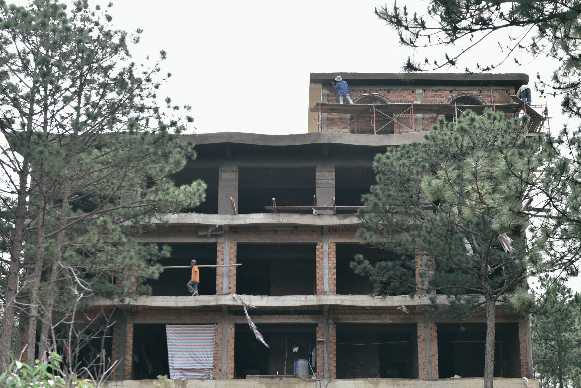 Đà Lạt ảnh 23 Da Lat anh 23