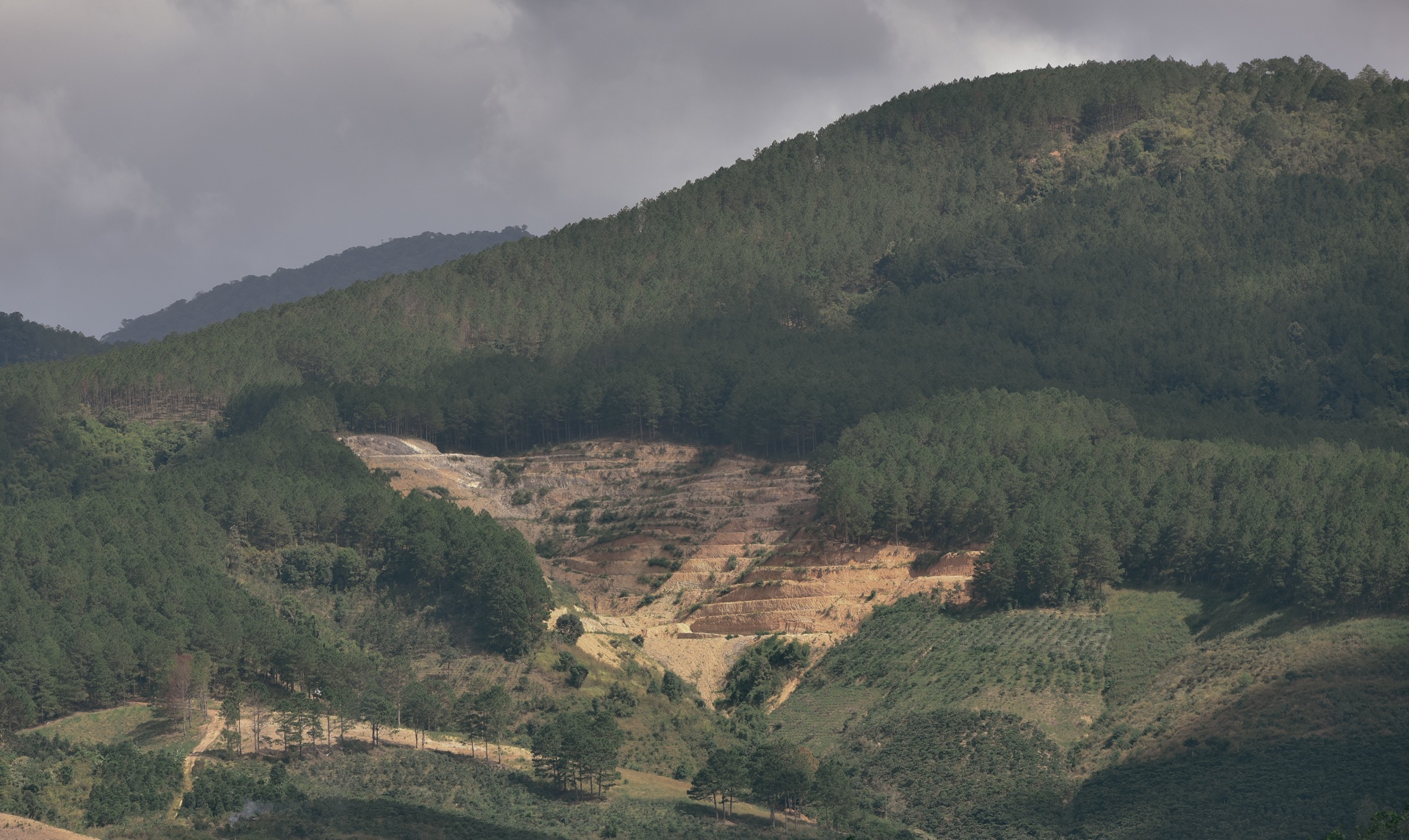 Đà Lạt ảnh 25 Da Lat anh 25