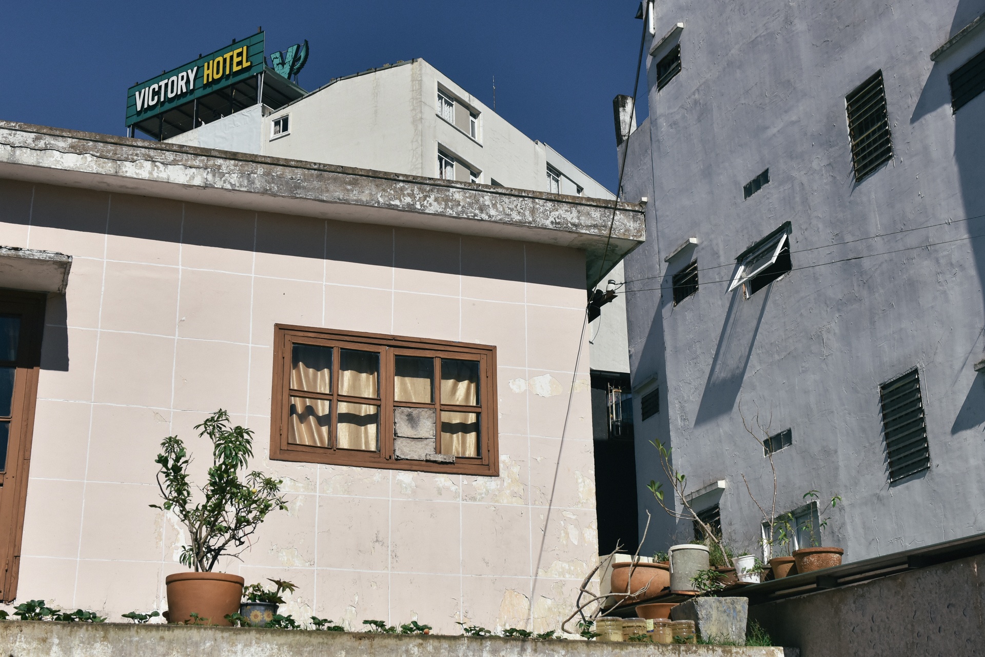 Đà Lạt ảnh 5 Da Lat anh 5