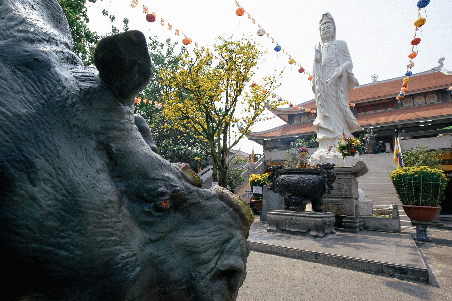 cuu te giac hoang da anh 3