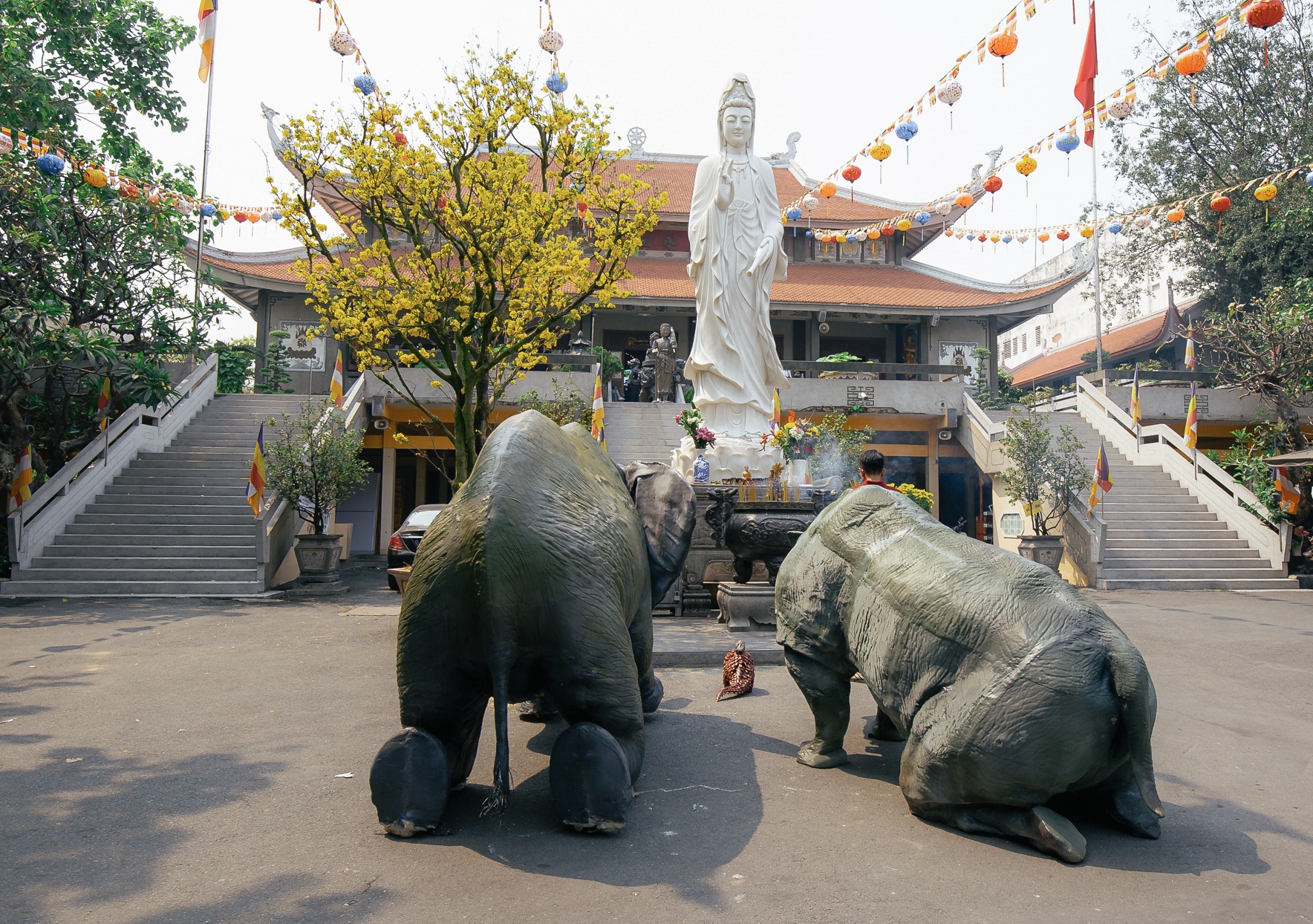 cuu te giac hoang da anh 1