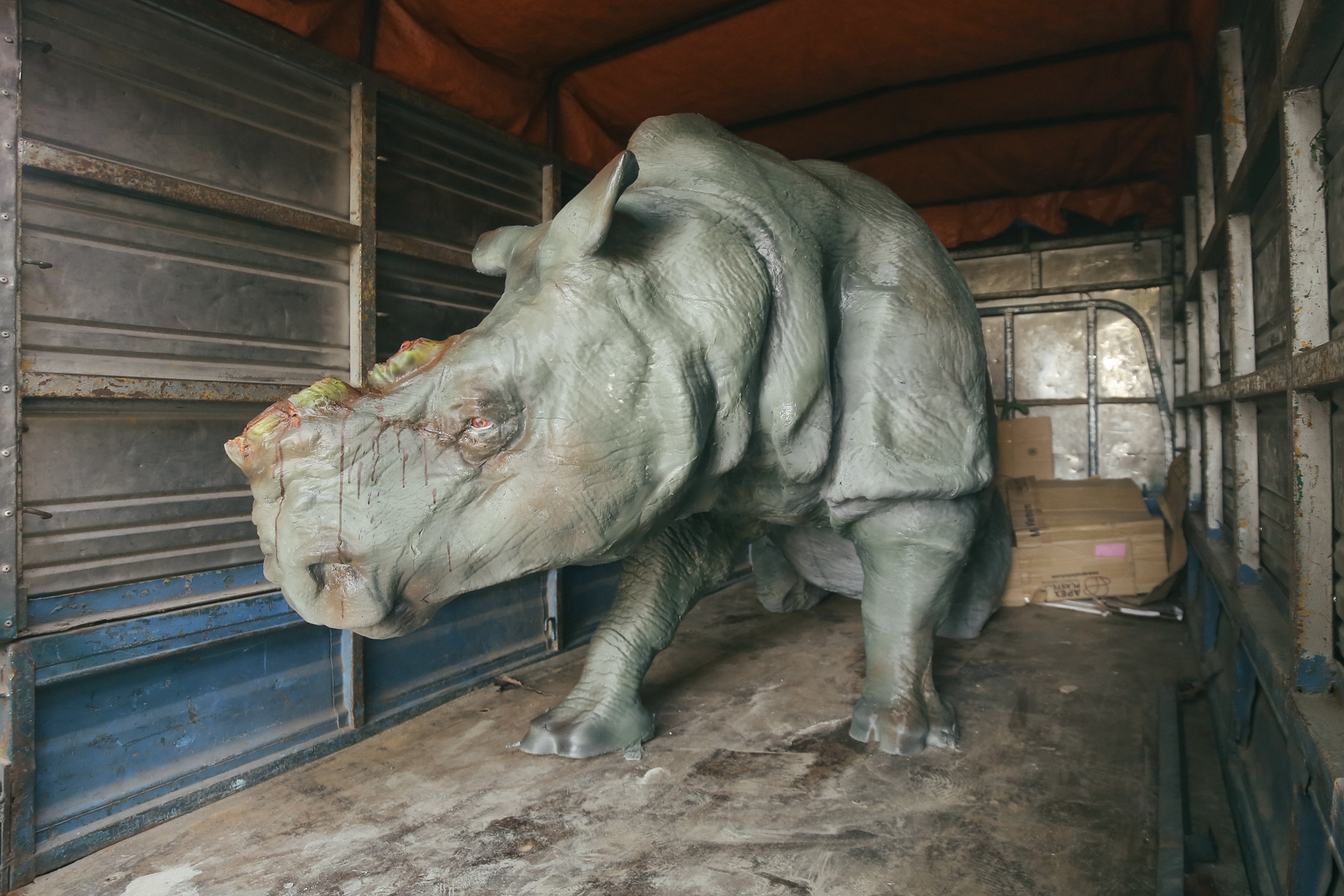 cuu te giac hoang da anh 8