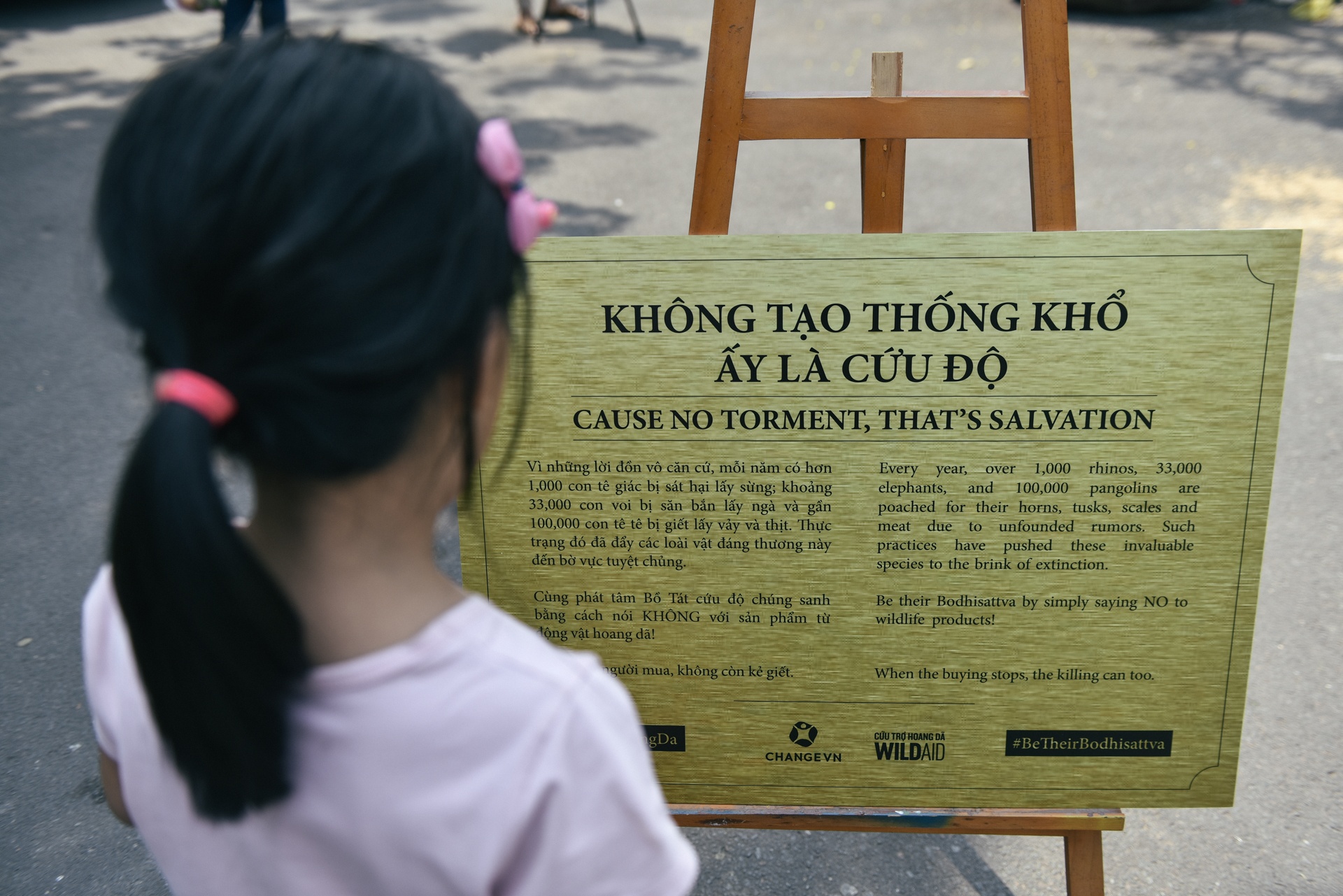 cuu te giac hoang da anh 5