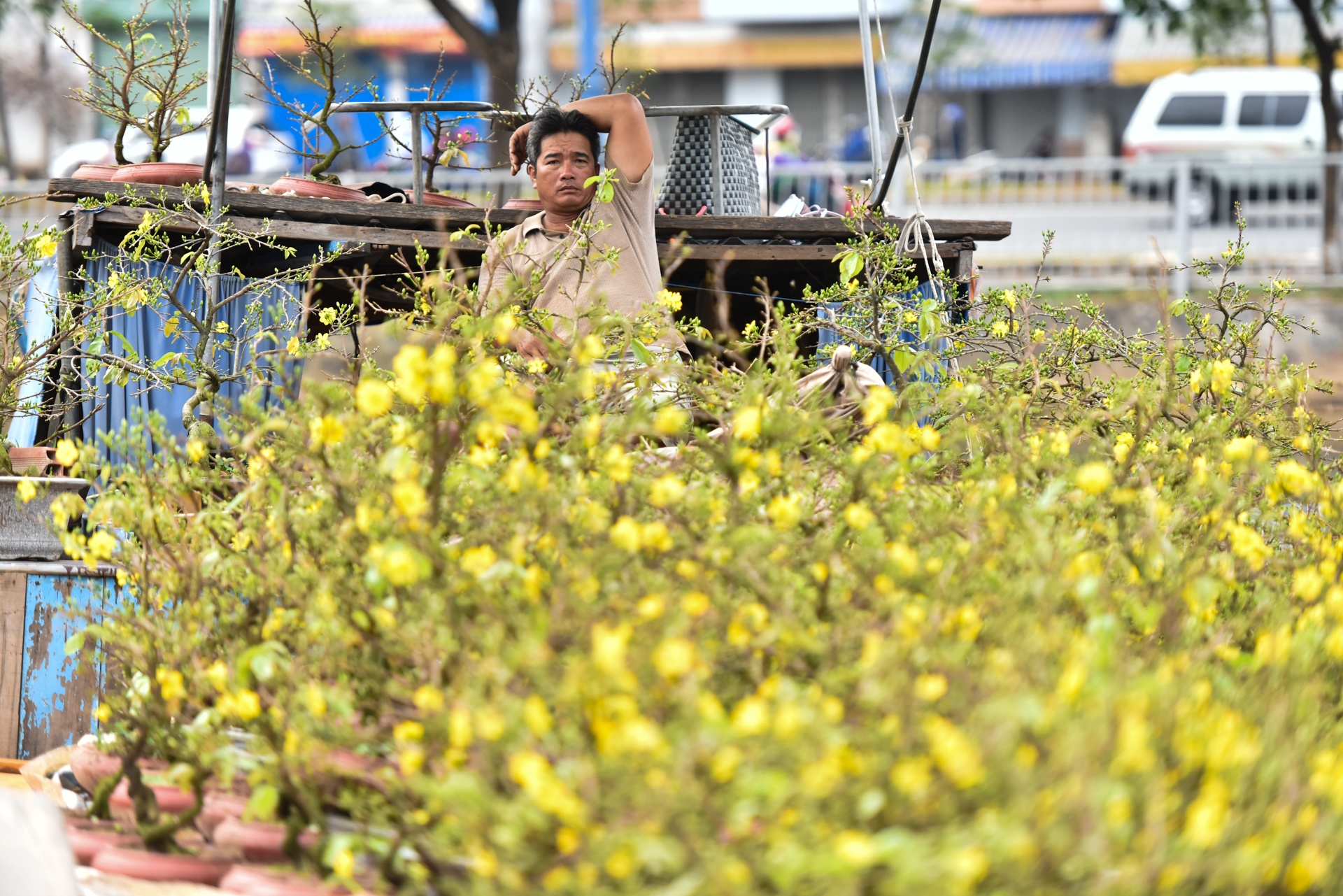 Ben Binh Dong anh 11