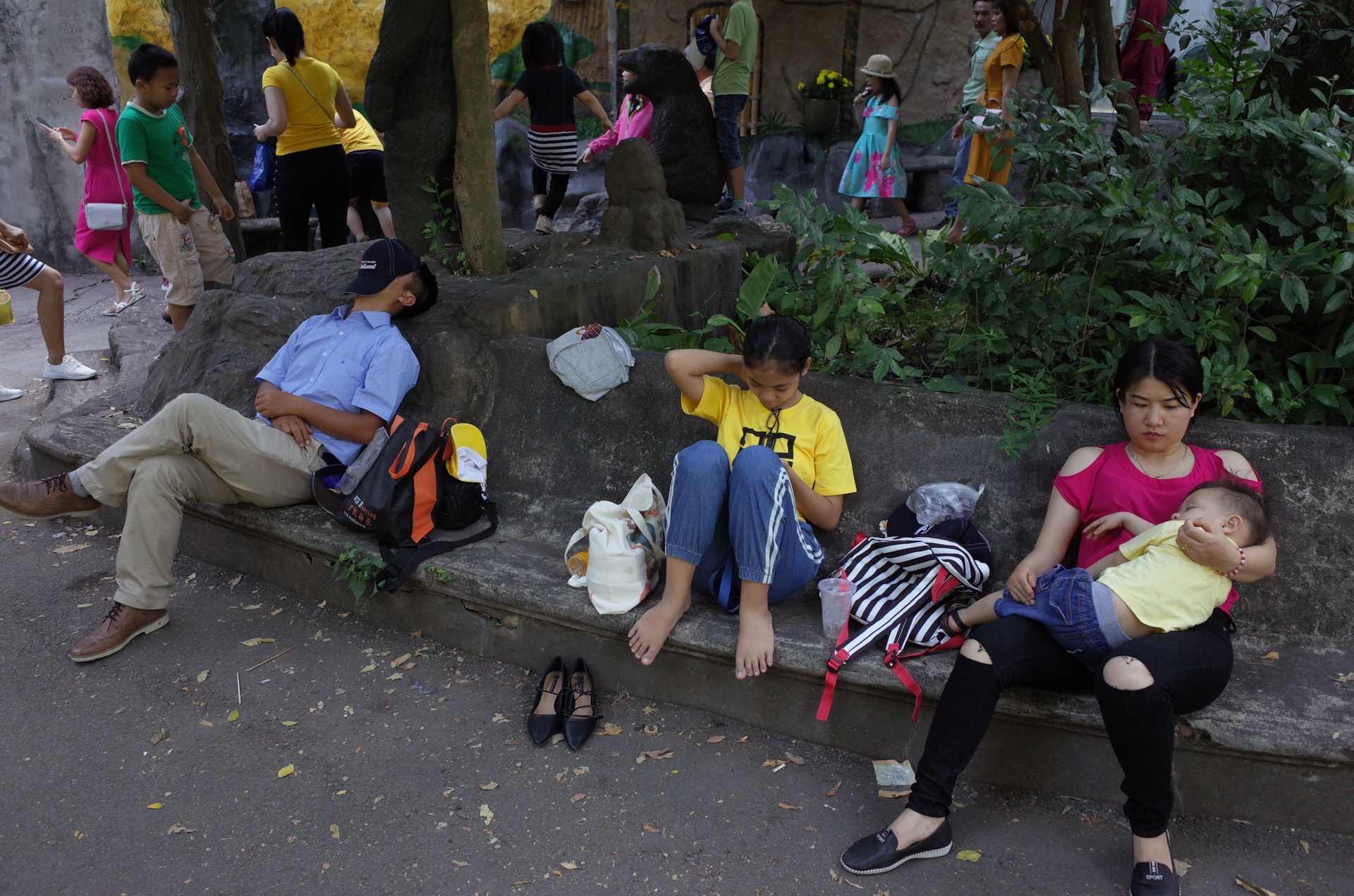 Thao Cam Vien anh 10