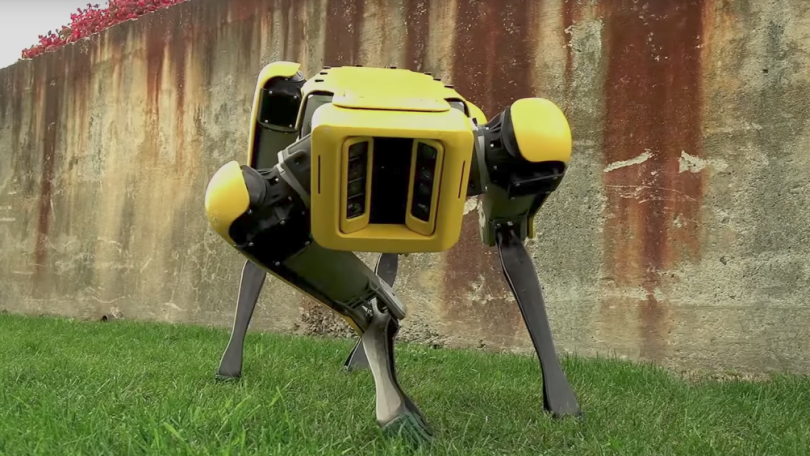 Chu cho robot di dao cung chu tai Florida anh 1