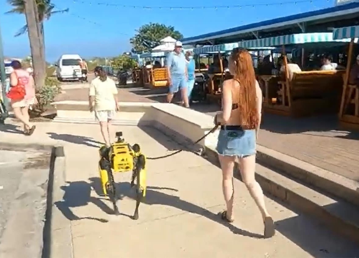 Nguoi di duong thich thu voi chu cho cung gia 75.000 USD hinh anh