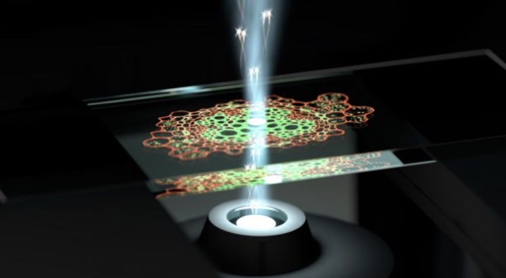 Sieu kinh hien vi giup quan sat nhung thu con nguoi chua tung thay hinh anh