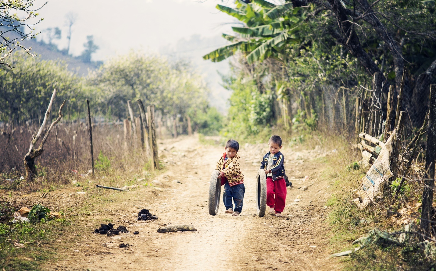 Baya ảnh 5 Baya anh 5