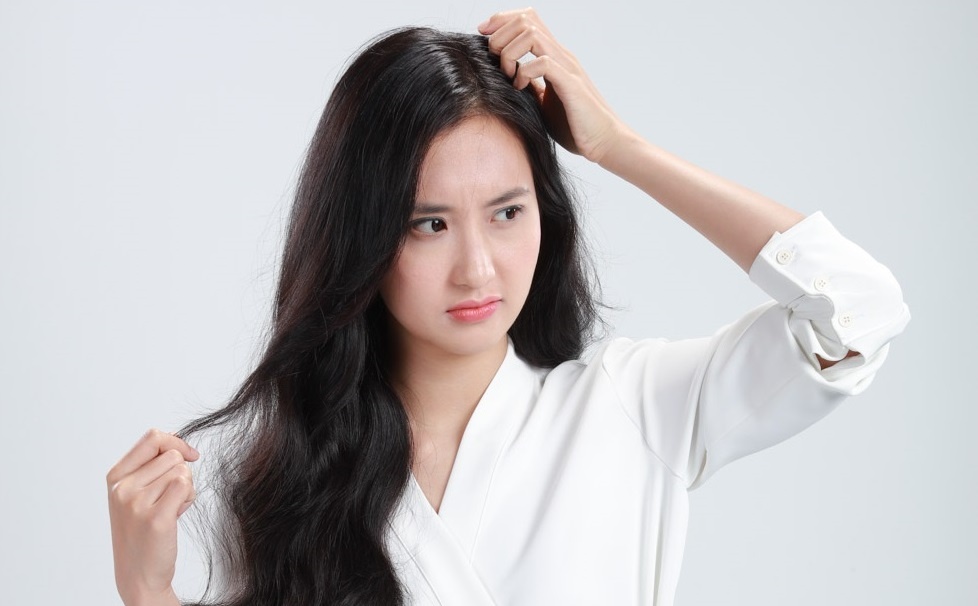 Bi quyet sach nam va gau bat chap mua dong hanh kho hinh anh