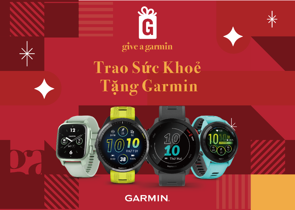 Garmin anh 1