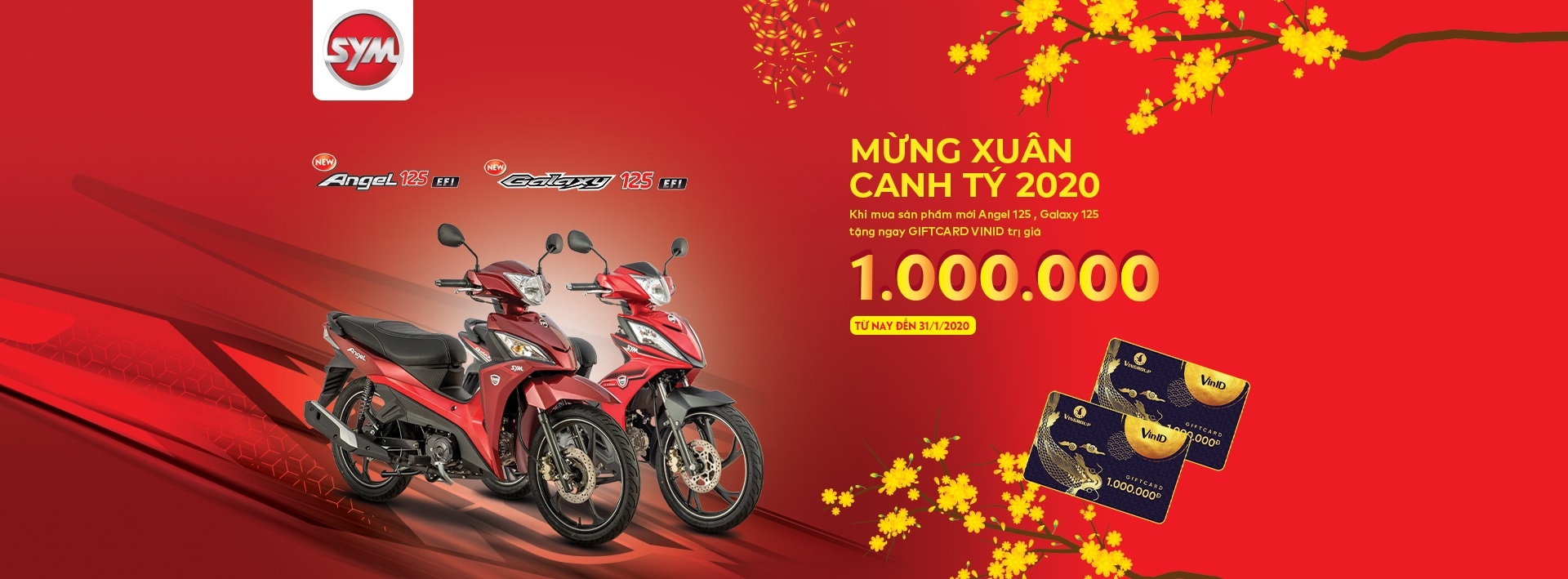 SYM ảnh 2 SYM anh 2