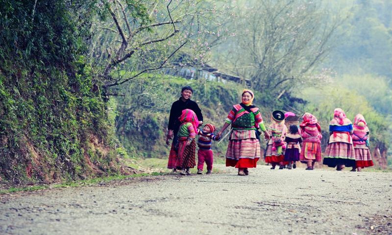 Pushmax Chanh Leo anh 3