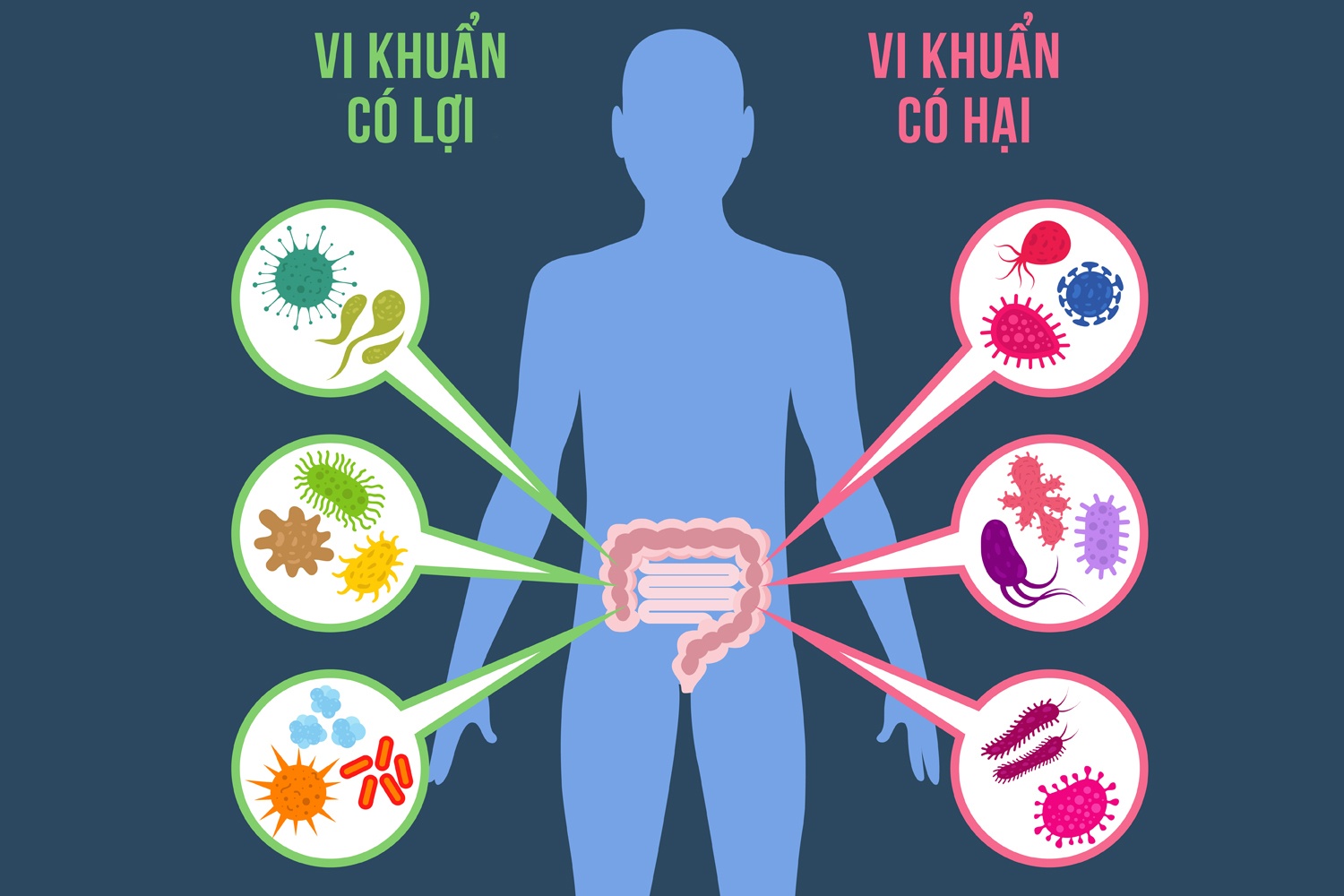 Sanofi ảnh 4 Sanofi anh 4