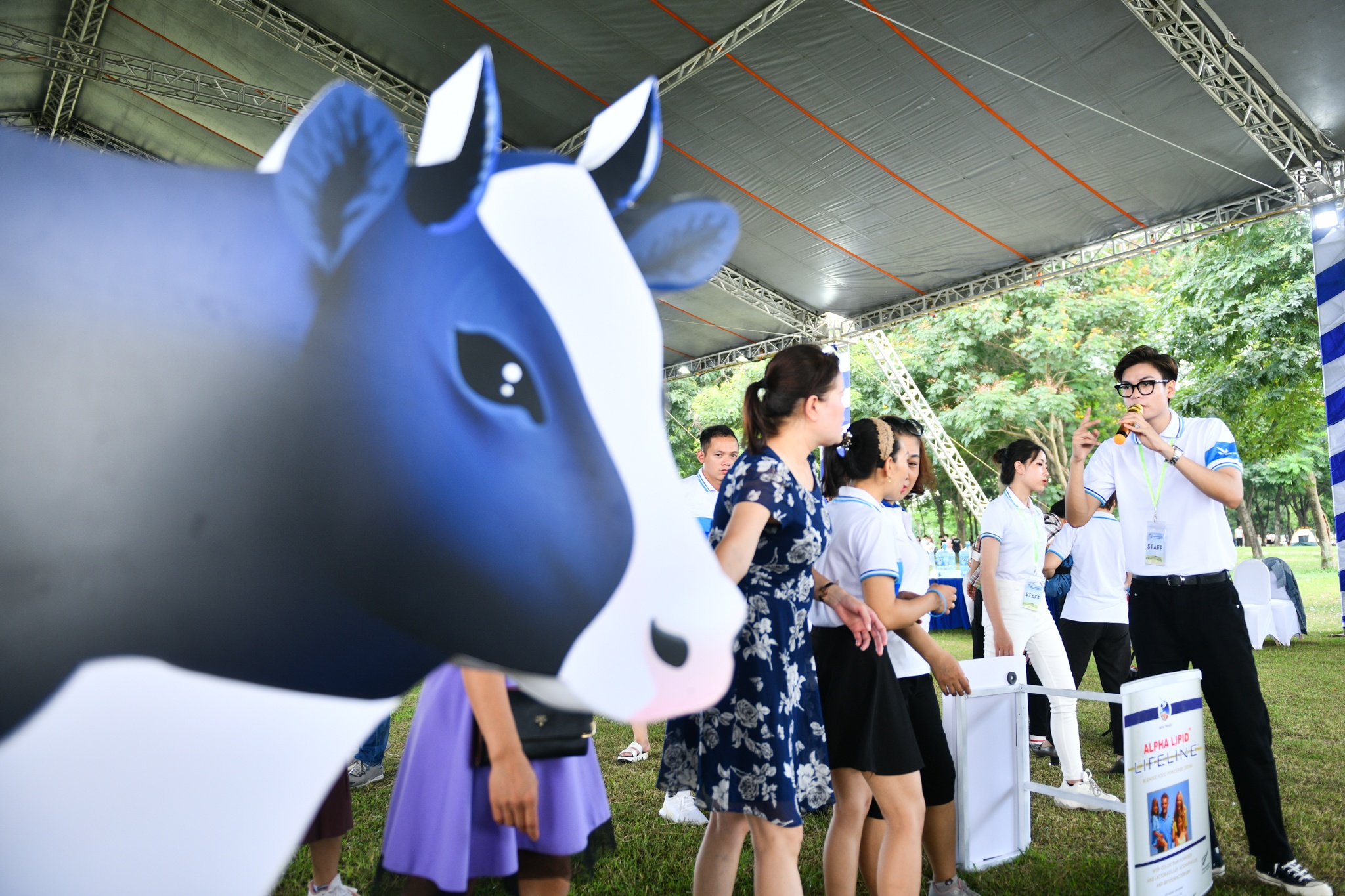 New Image Viet Nam anh 12