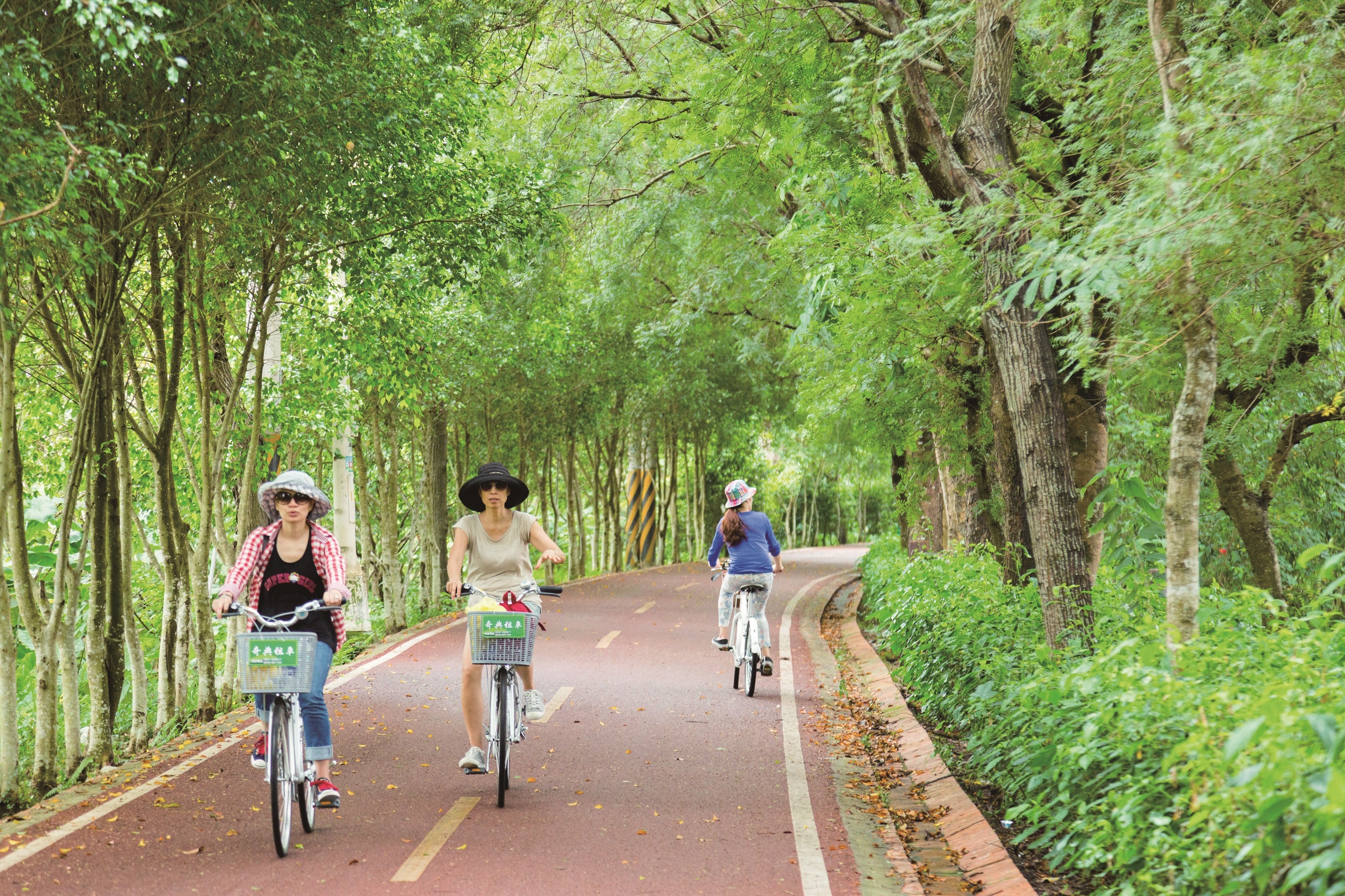 Thoi quen du lich thay doi sau anh huong cua Covid-19 hinh anh