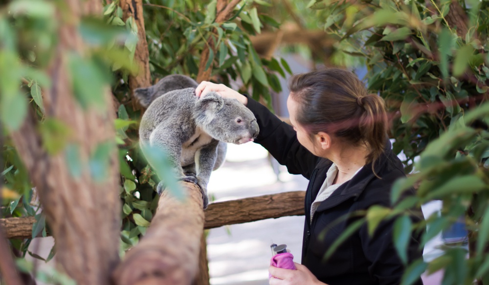 Vietjet ảnh 2 Vietjet anh 2
