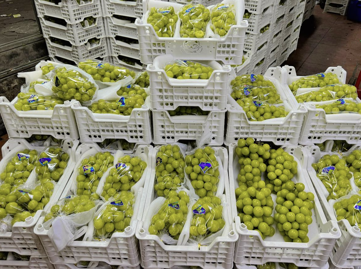 hoa qua,  nhap khau,  nho sua trung quoc anh 1