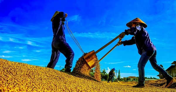 Nguoi trong ca phe thang dam hinh anh