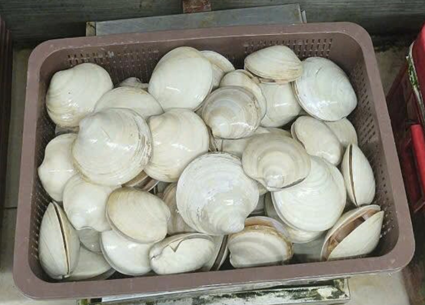 so bo nhap khau anh 1