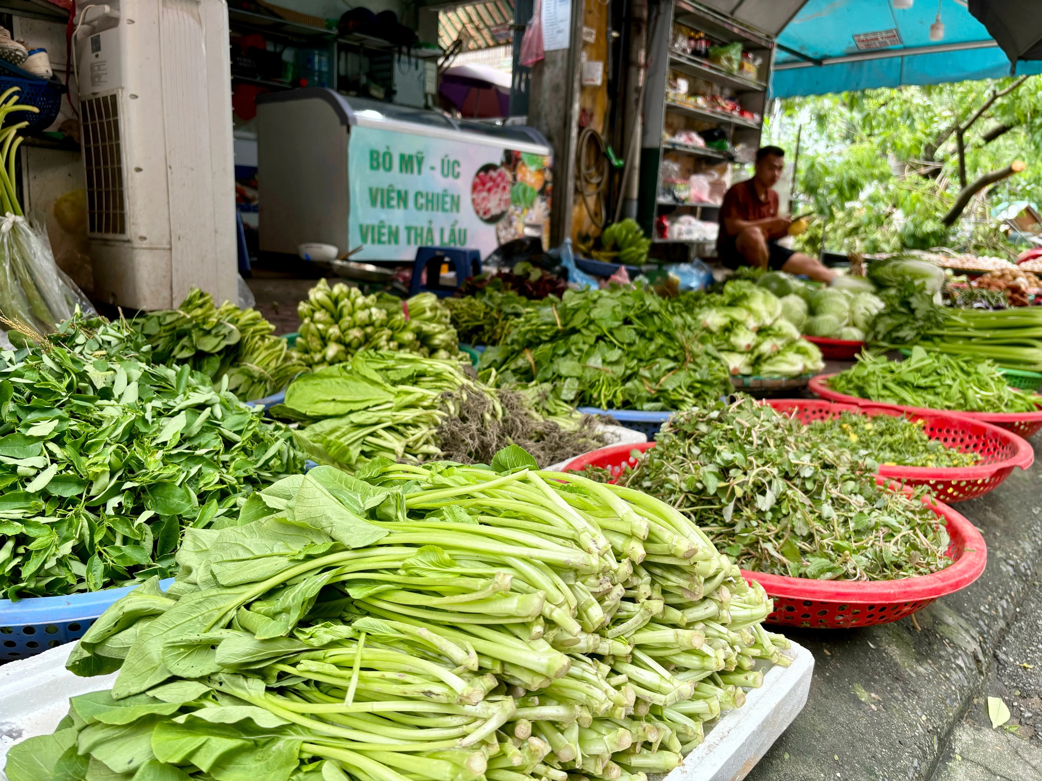 nghi quyet 143 chinh phu,  khac phuc bao yagi anh 2