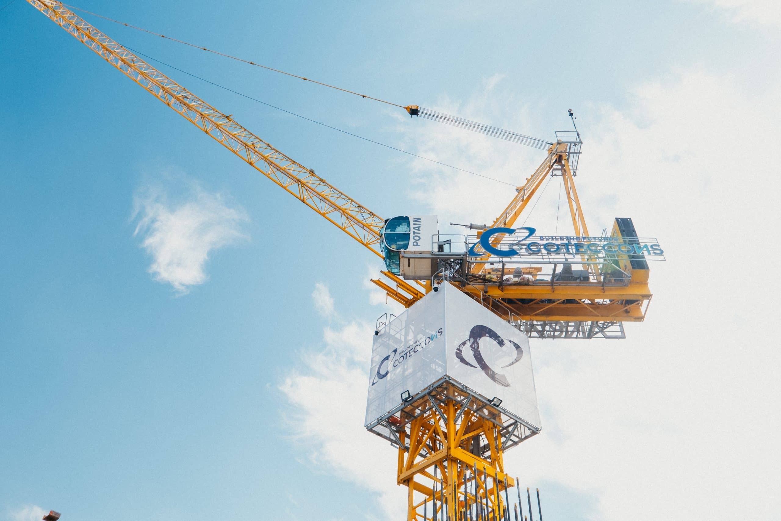 Coteccons lai lon hinh anh