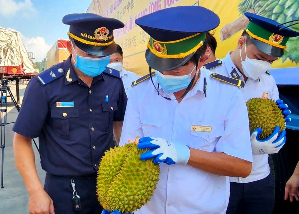 Mo 'luong xanh' cho trai cay tuoi qua Lang Son sang Trung Quoc hinh anh