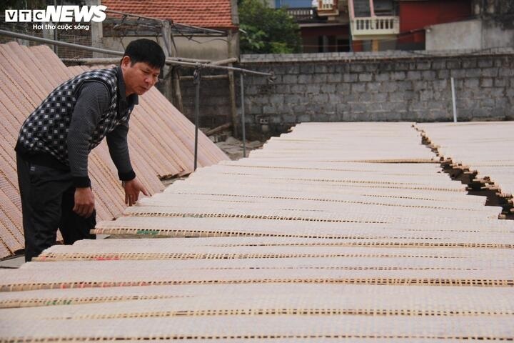 banh da nem,  goi nem anh 1