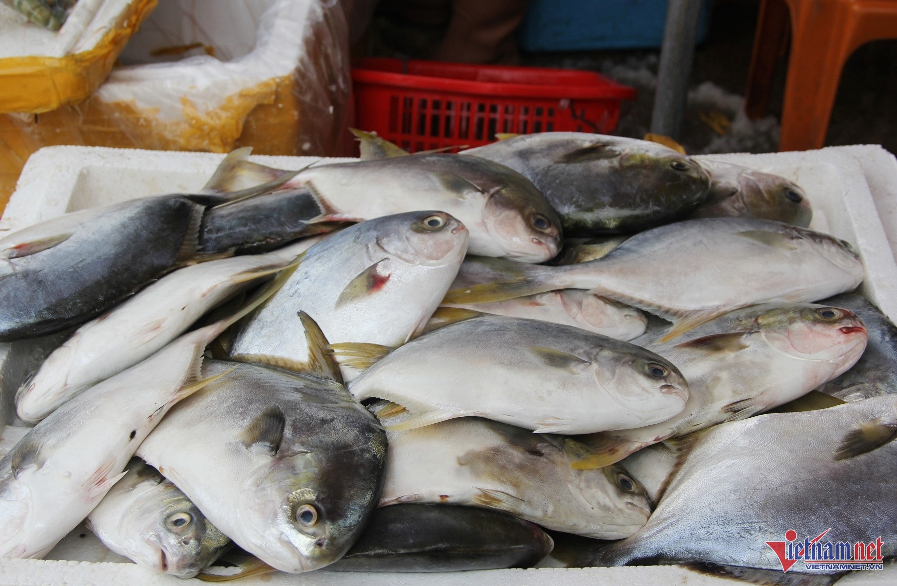 ngư dân, ngư nghiệp ảnh 7 ngu dan, ngu nghiep anh 7