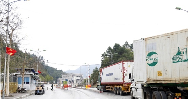 Hang tram tan sau rieng xuat sang Trung Quoc qua cua khau Lang Son hinh anh